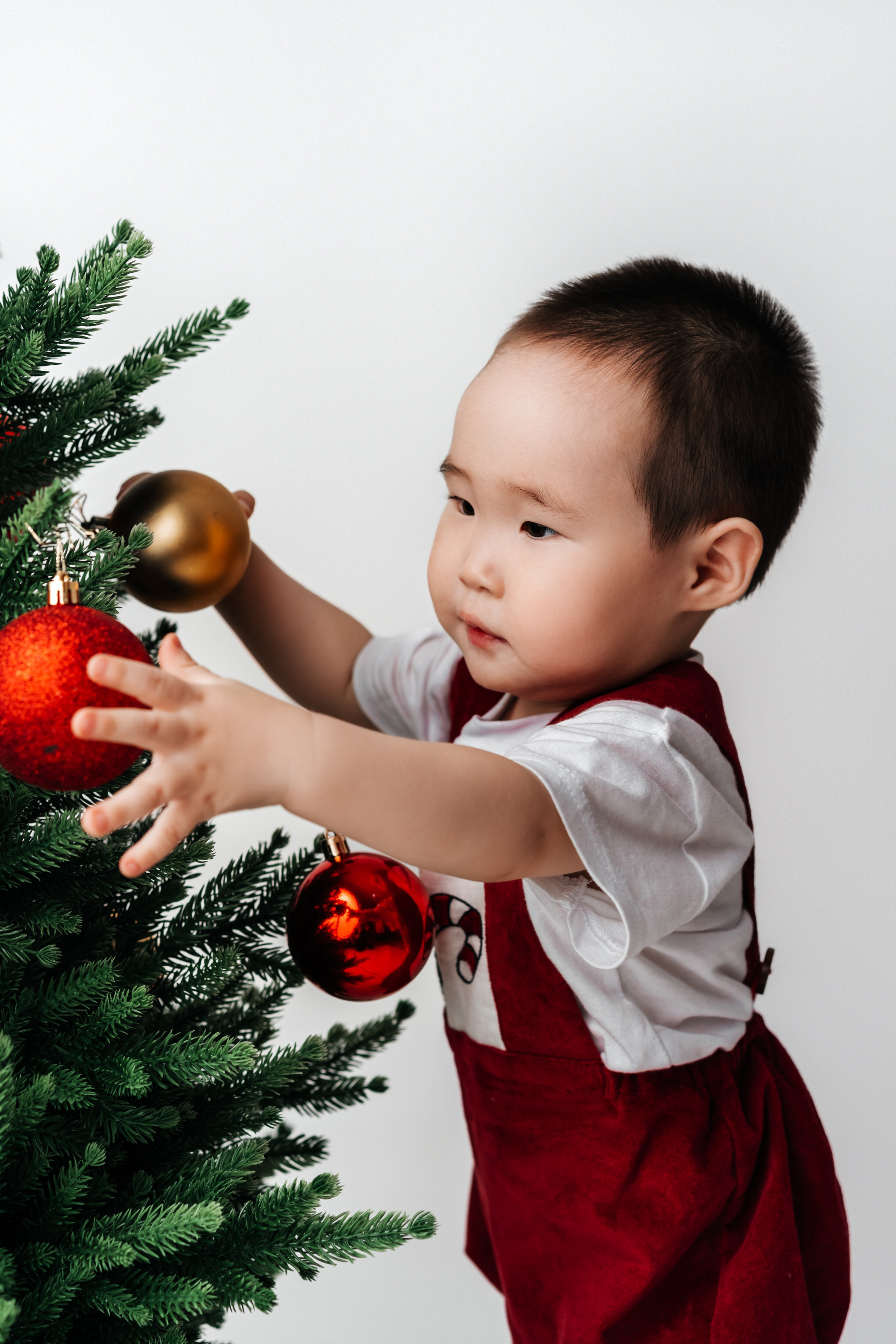 Новый год. Фотограф Александра Василькова