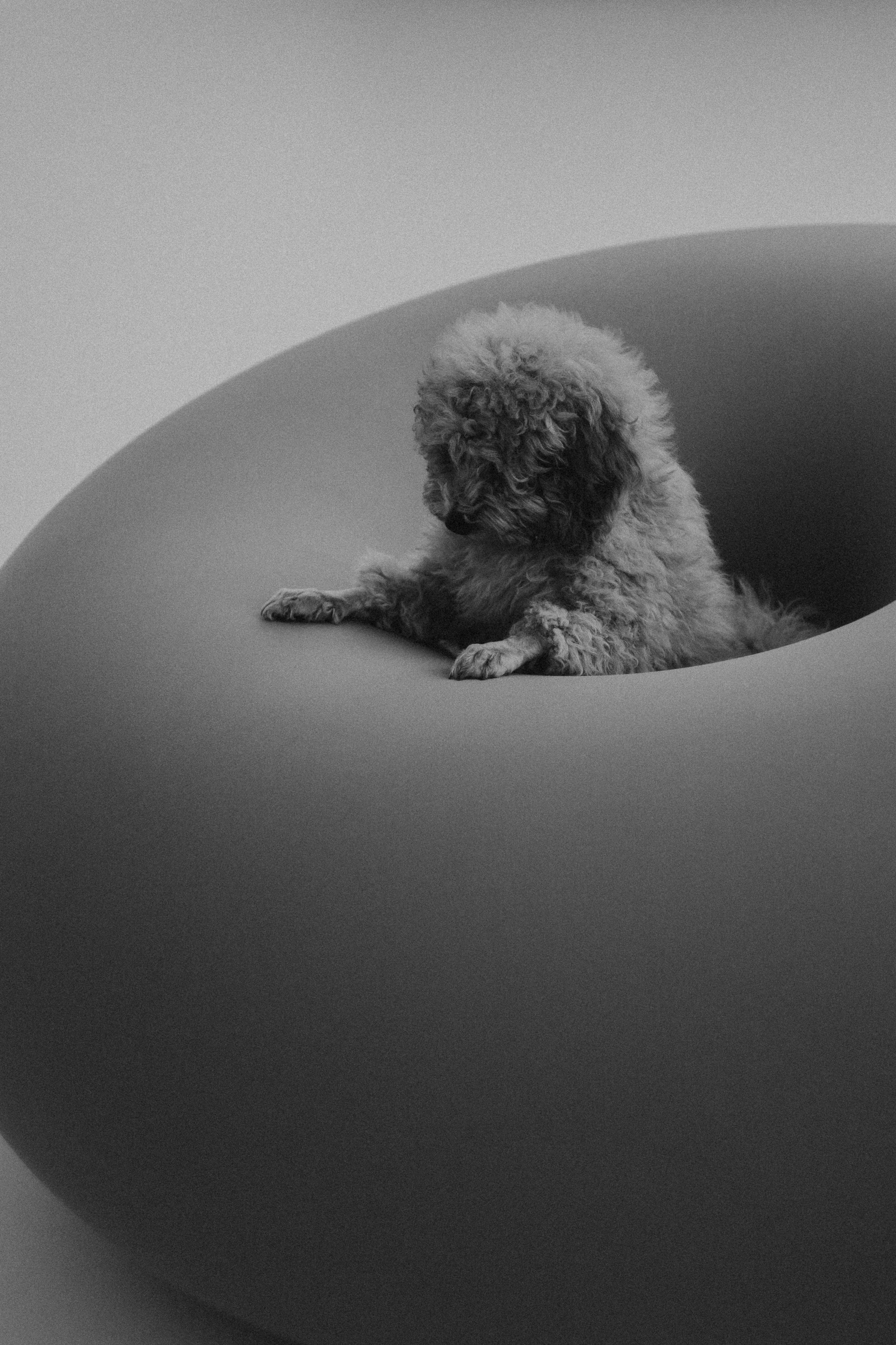 MAKSIM&TATIANA. MAX TIHANKOV