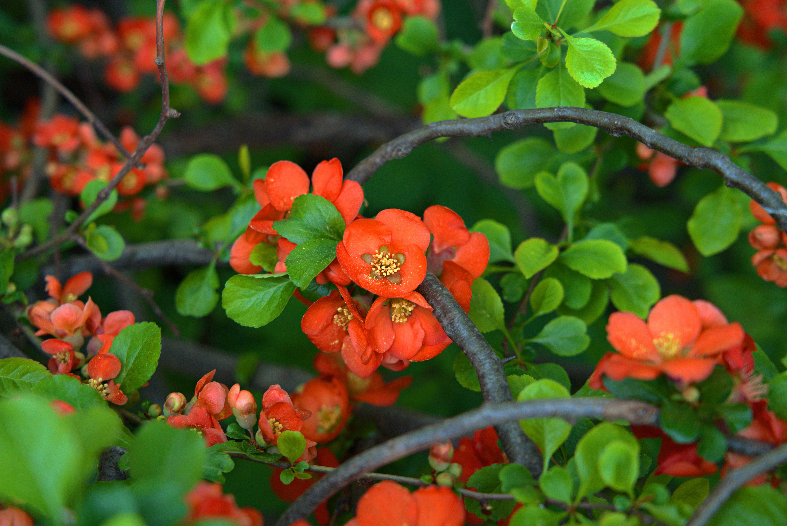 Музей-Заповедник «Царицыно» | 2025. GLAR