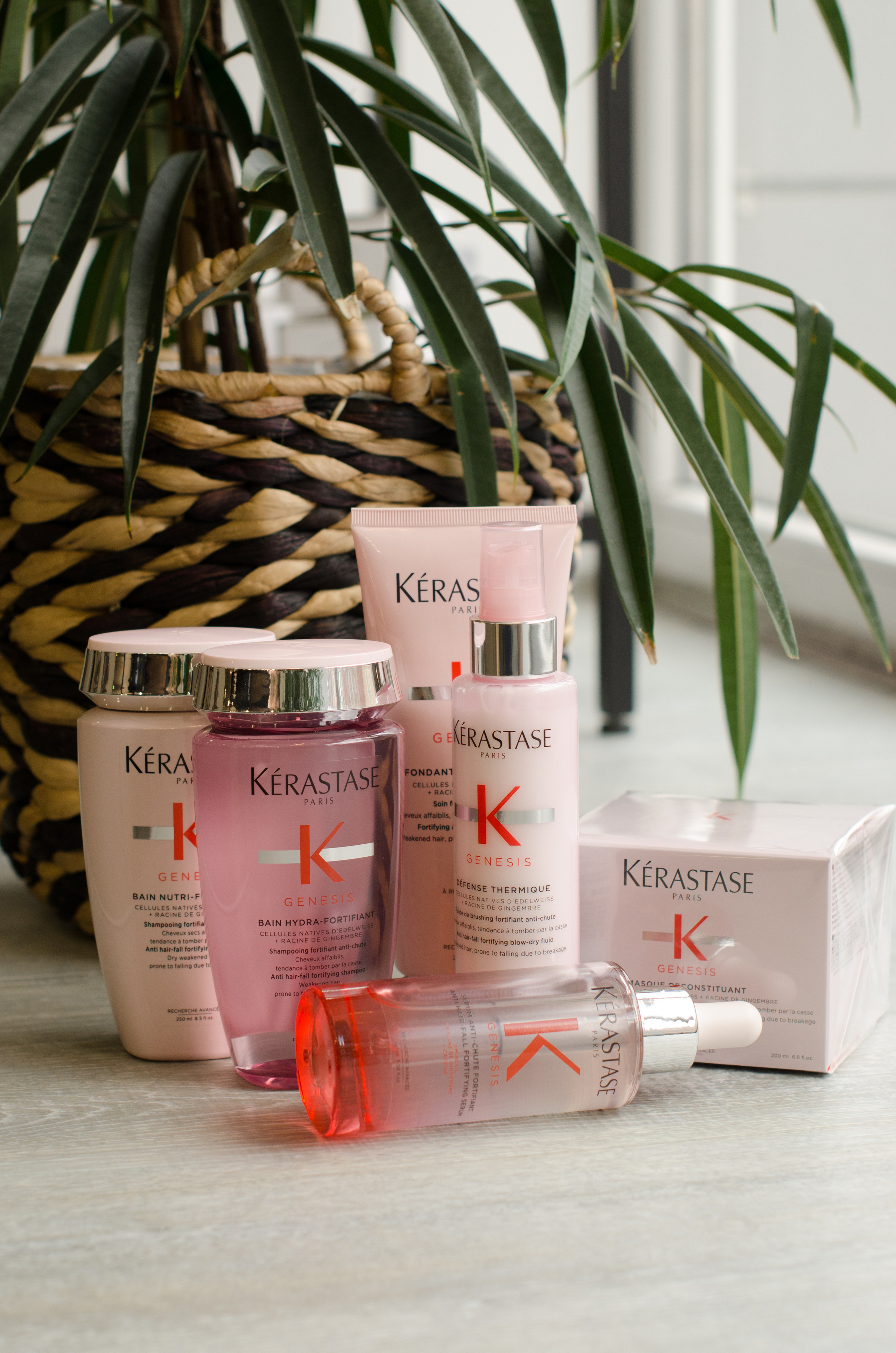 Persona Lab. Бизнес-контент. Женский и семейный фотограф в Москве. Мария Апарина