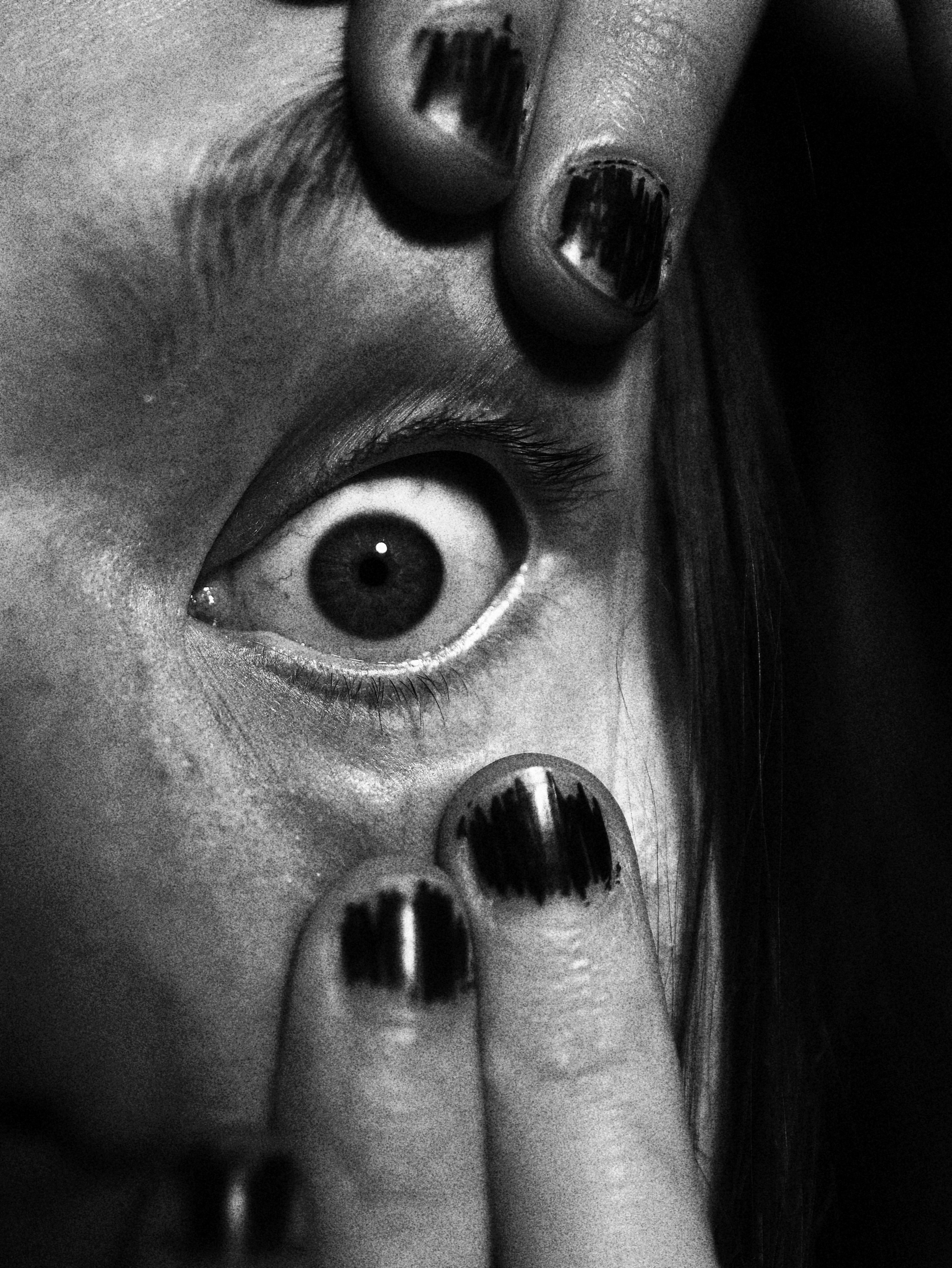 TESTS. Илья Доценко. Модель