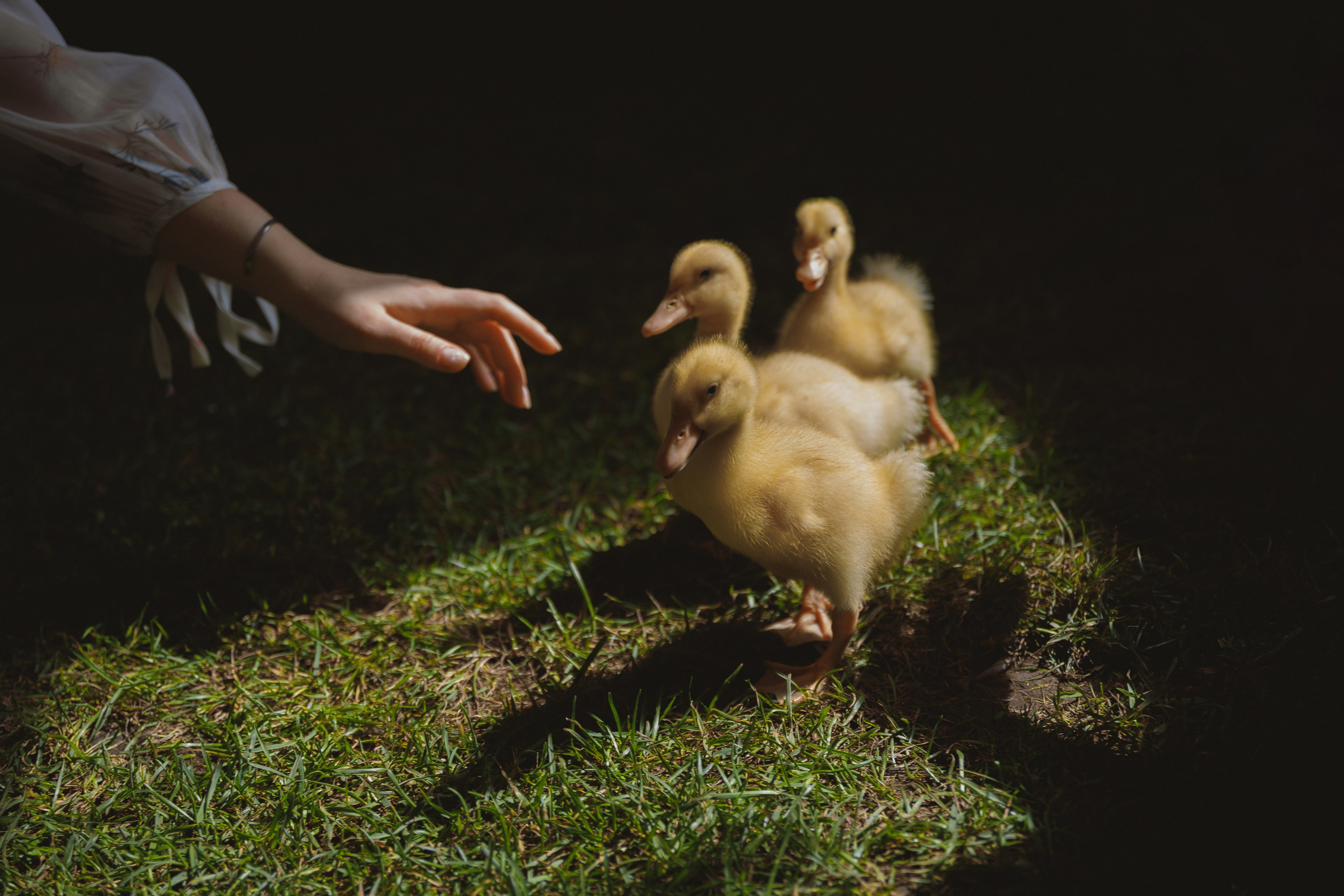 Лида. Фотограф в Самаре Юля Борщ