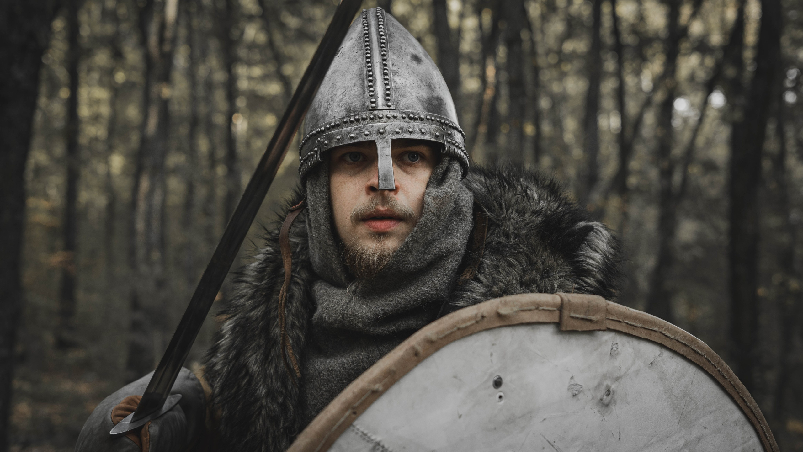 Викинг. Ab extra