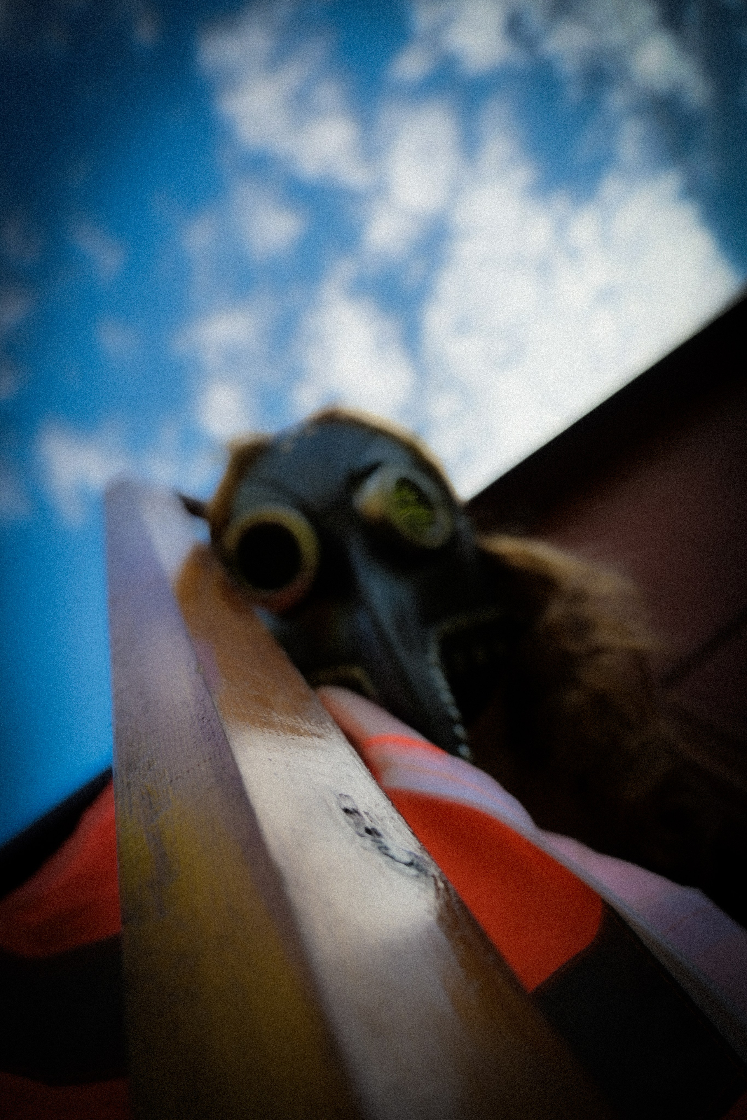 Сталкер Василиса. Предание о руинах: АРХИВ ПУСТОТЫ