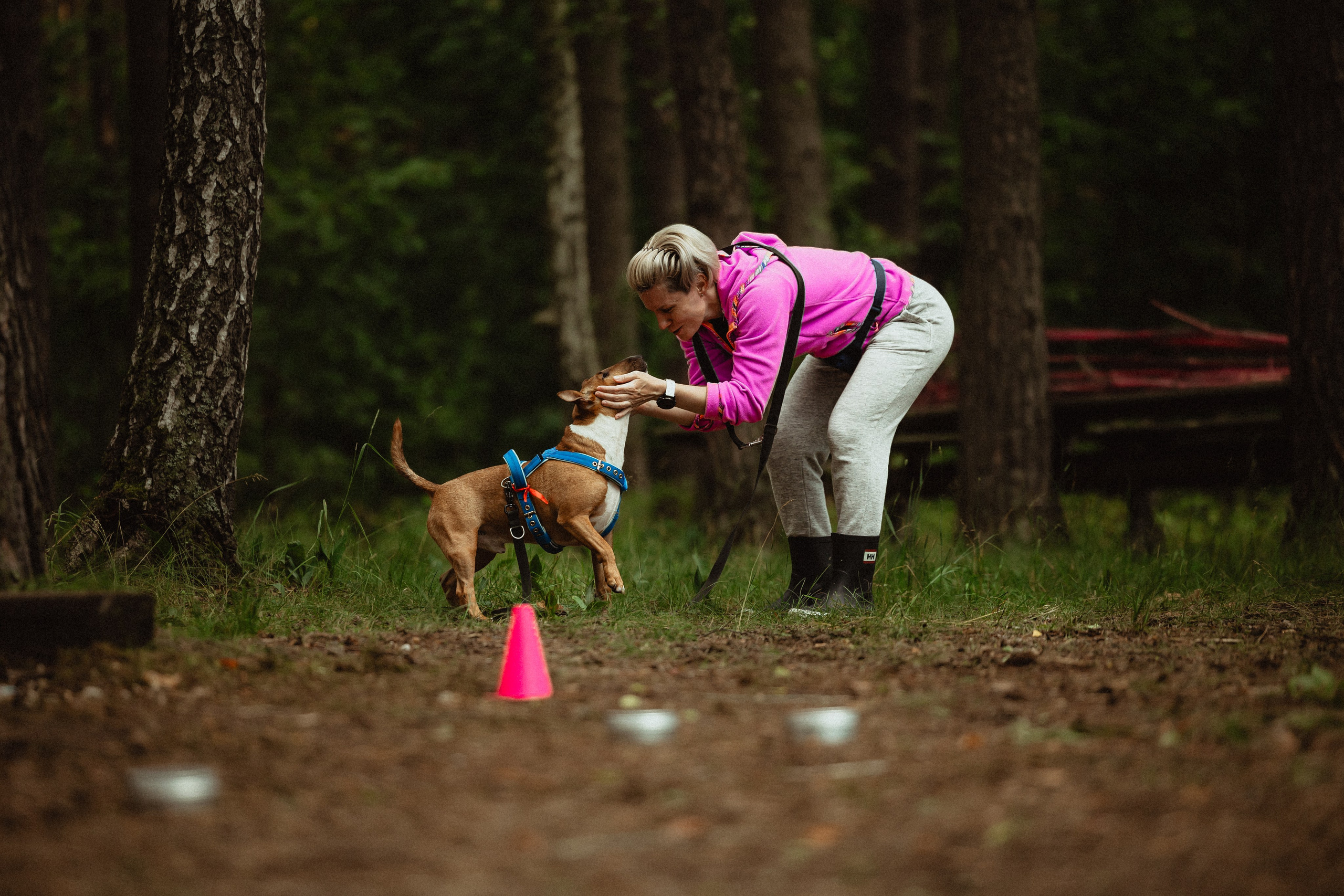 Выездной дог-тренинг от школы «Шерсть имею»