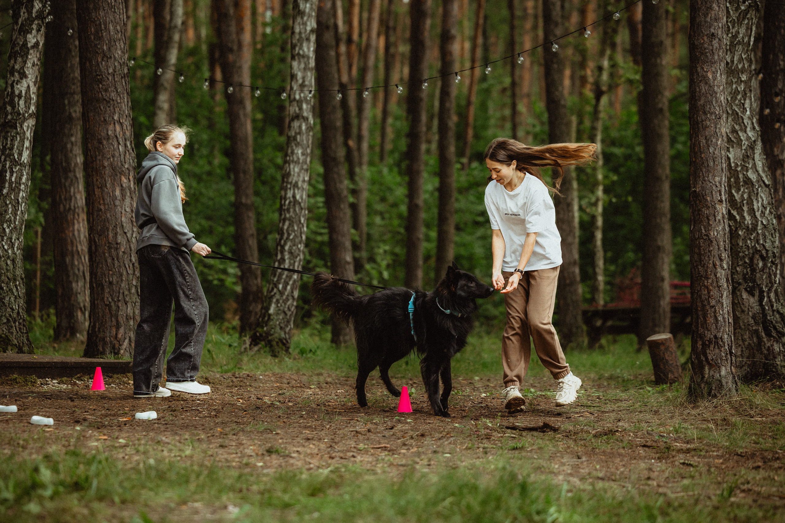 Выездной дог-тренинг от школы «Шерсть имею»