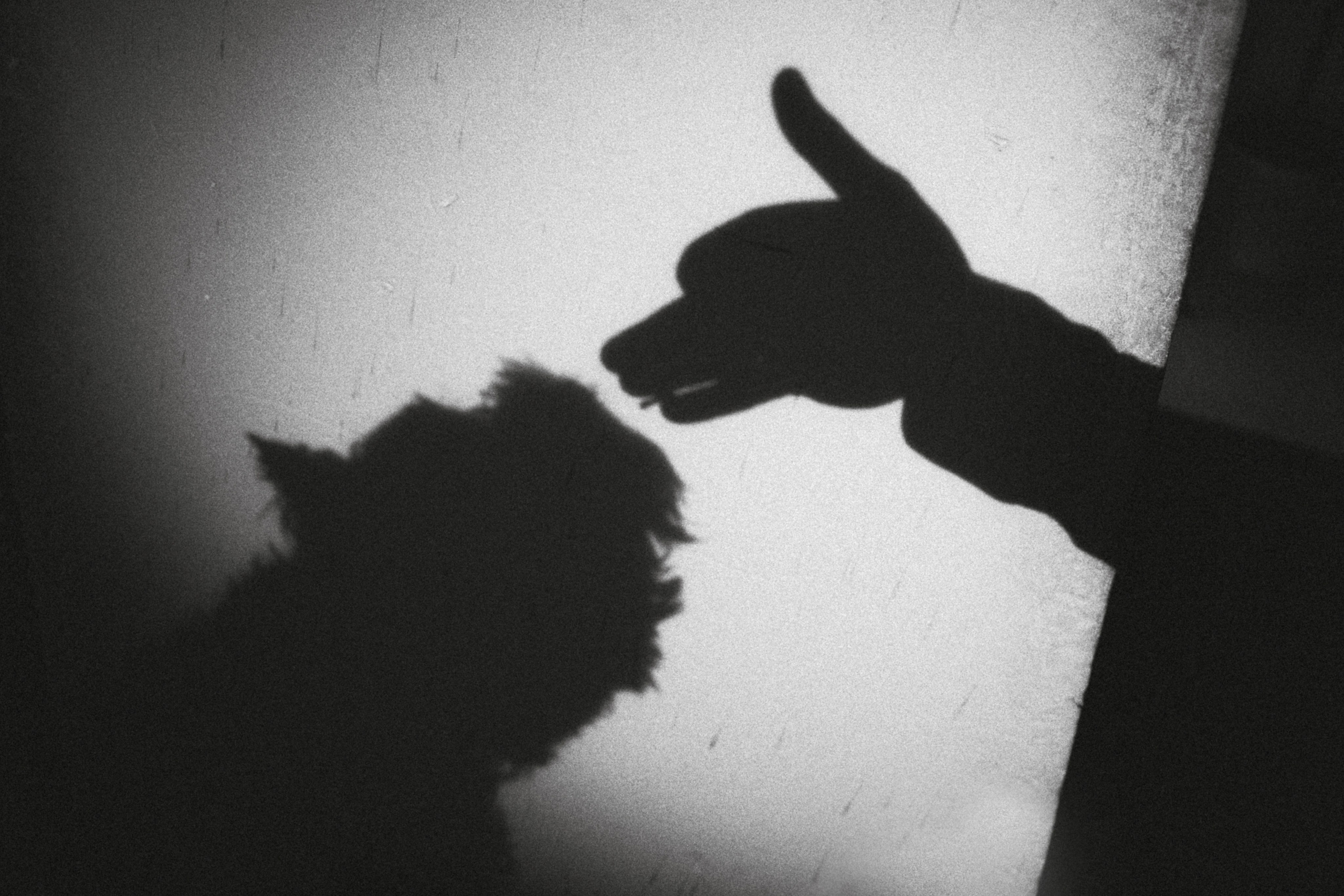 Вика, Глеб и Тори