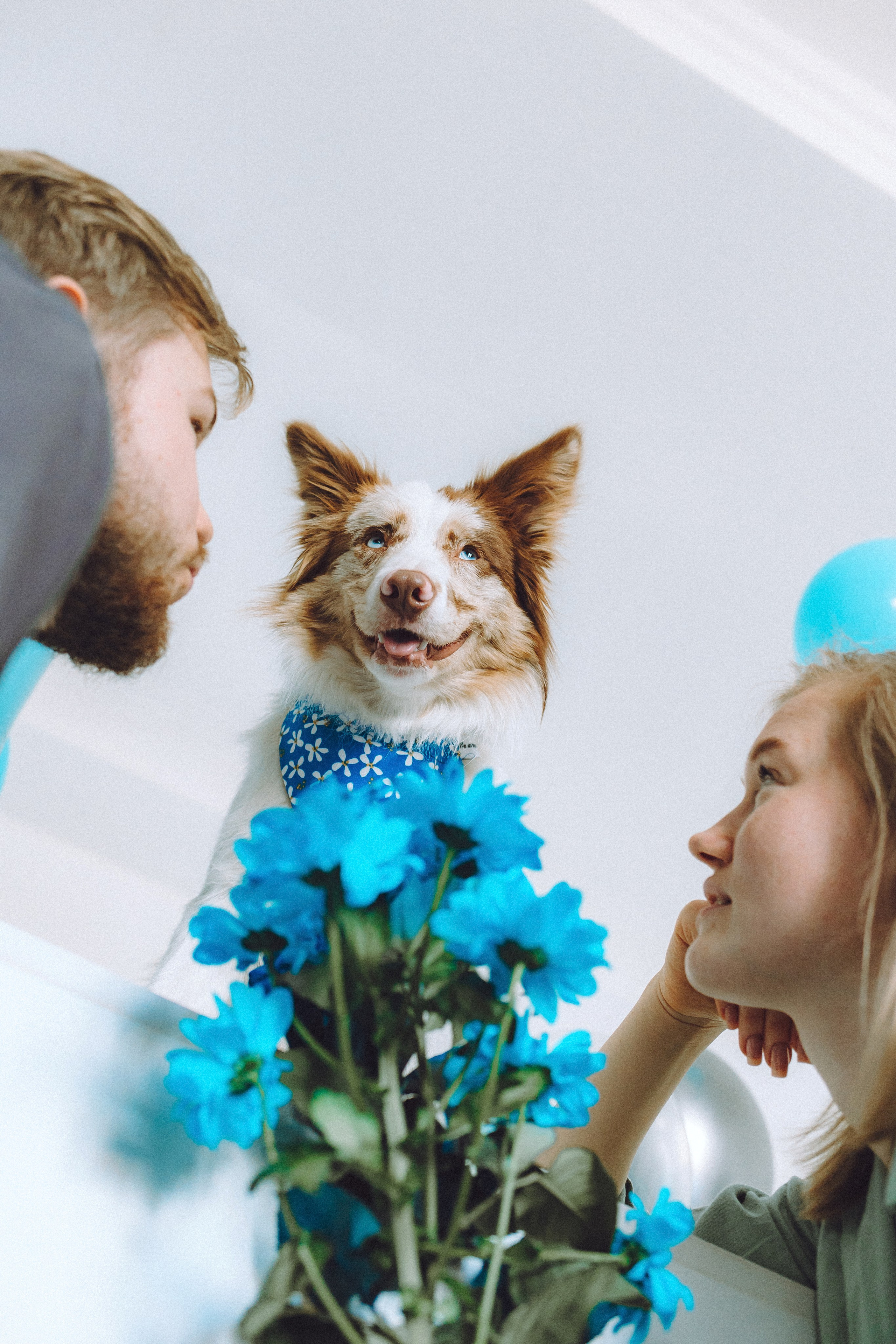 День рождения Айко