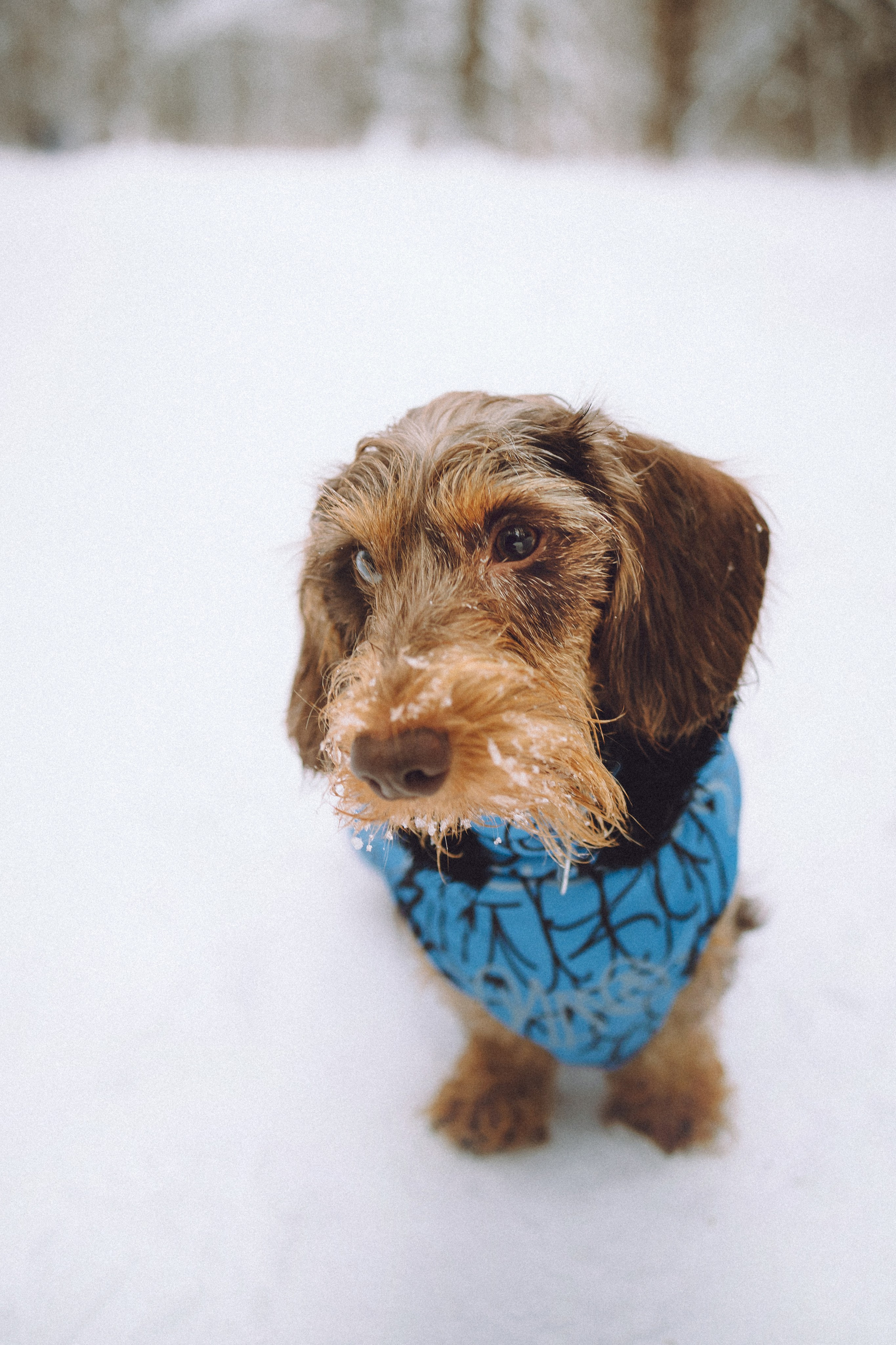 Каспер и его семья