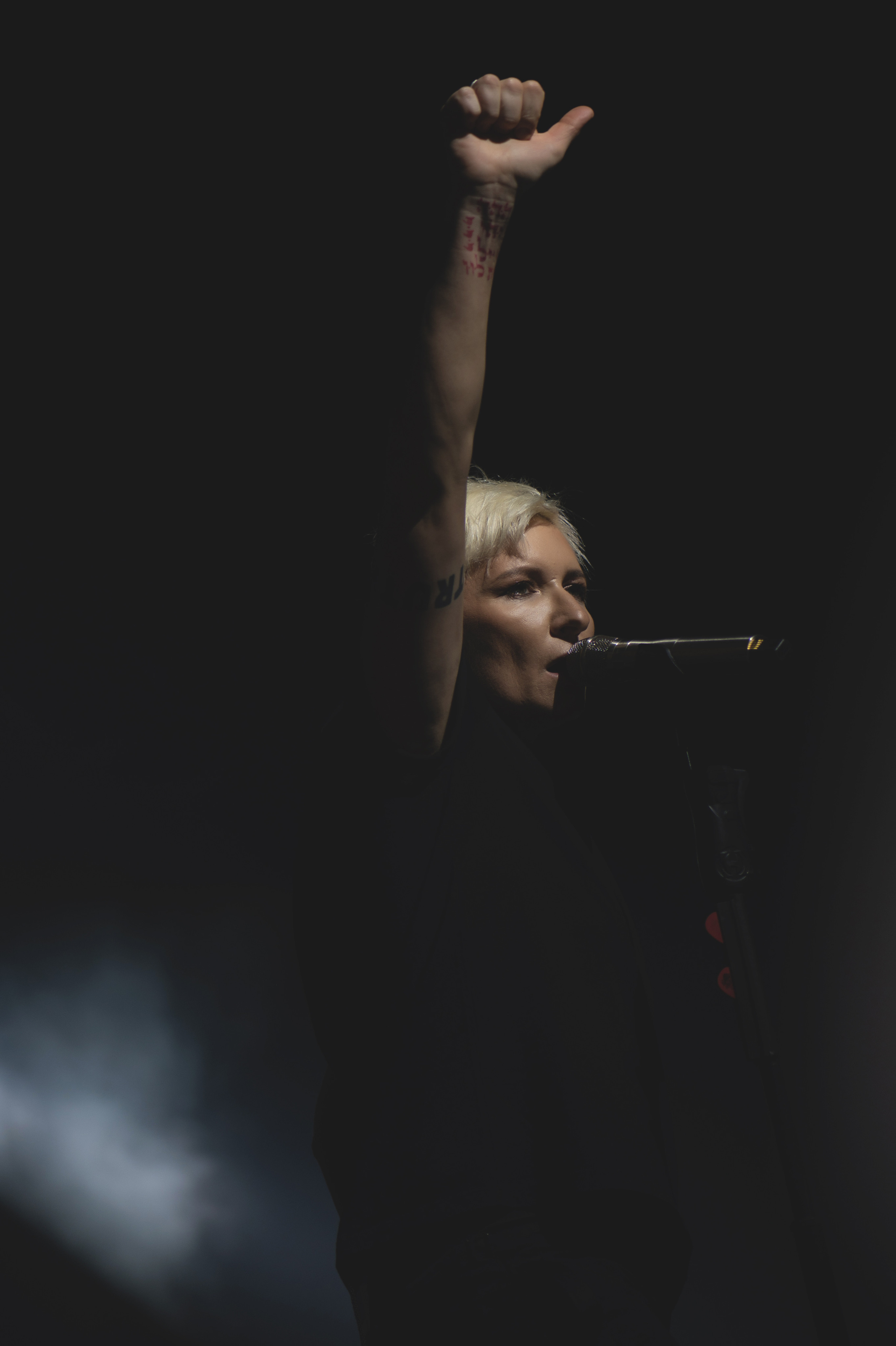 Диана Арбенина, Ночные снайперы, 03.06.2022. Фотограф в Москве, Оксана Ребристая