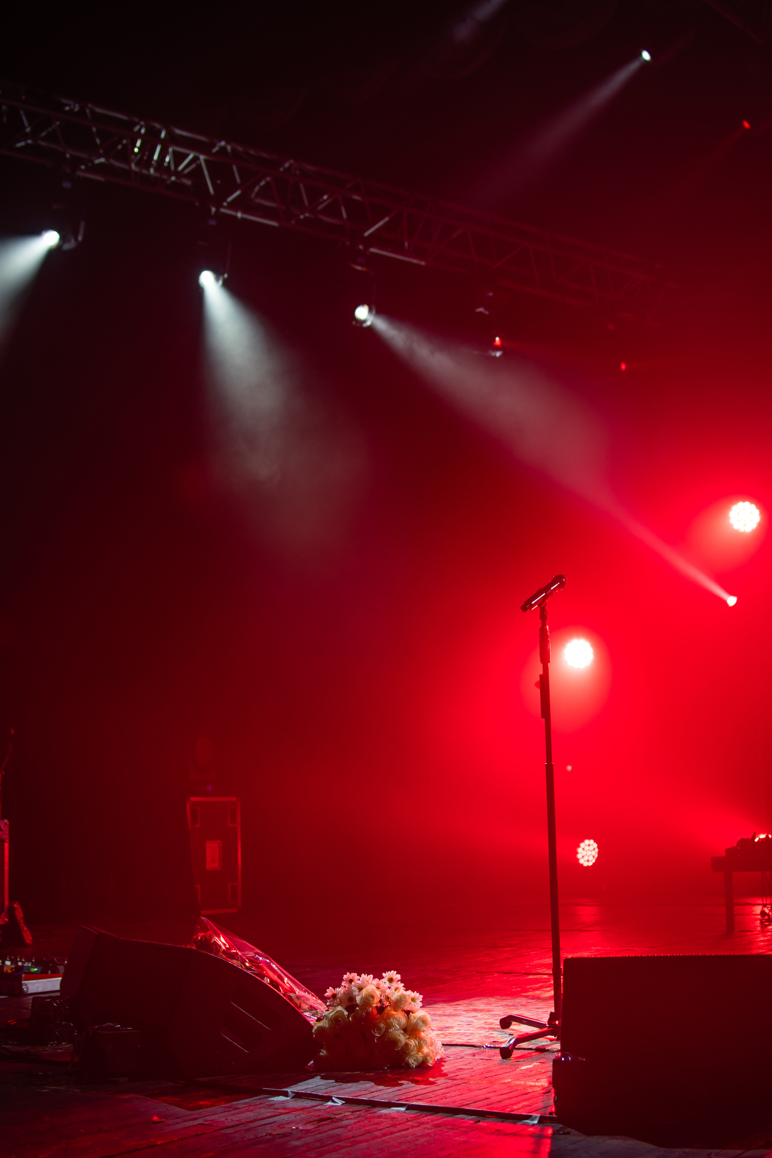 Диана Арбенина, Севастополь, 2019. Фотограф в Москве, Оксана Ребристая