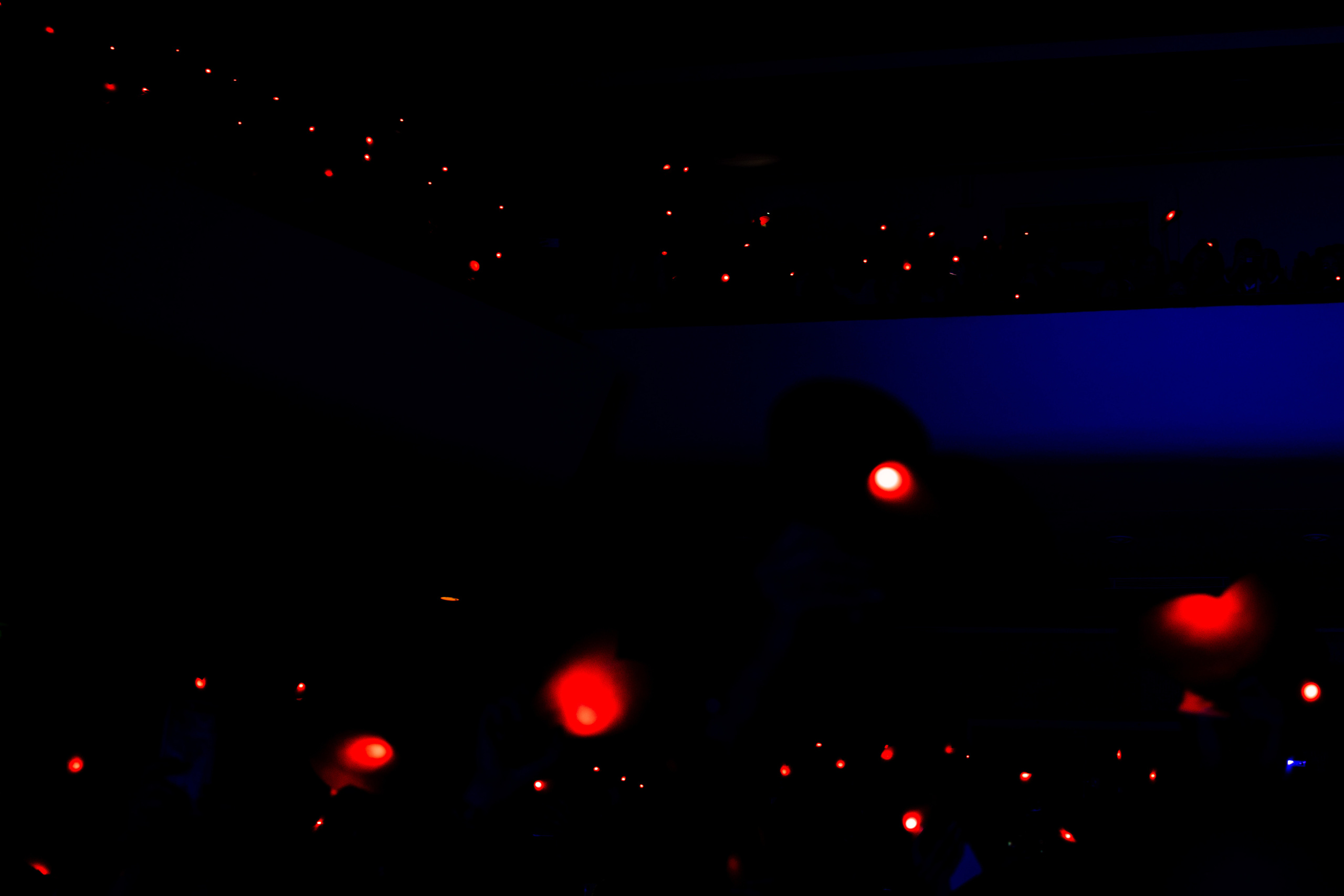 Диана Арбенина, Севастополь, 2019. Фотограф в Москве, Оксана Ребристая