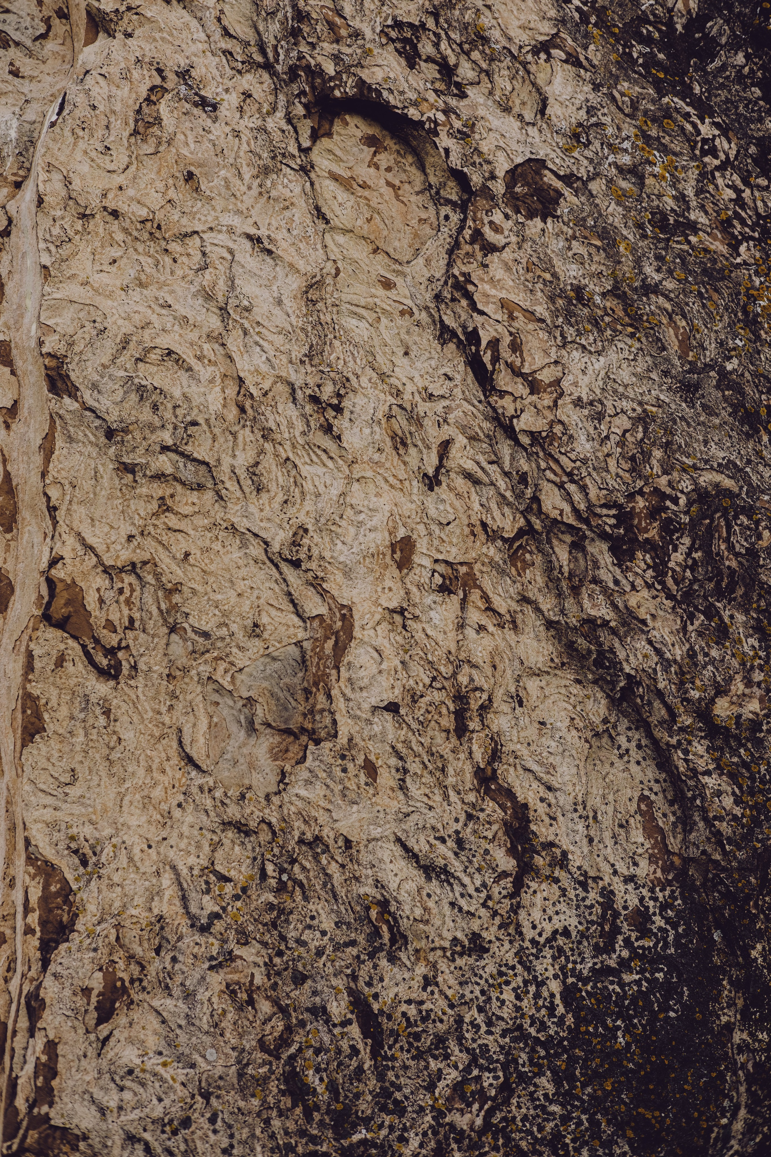 Хакасия. Фотограф из Хакасии Элина Кичеева