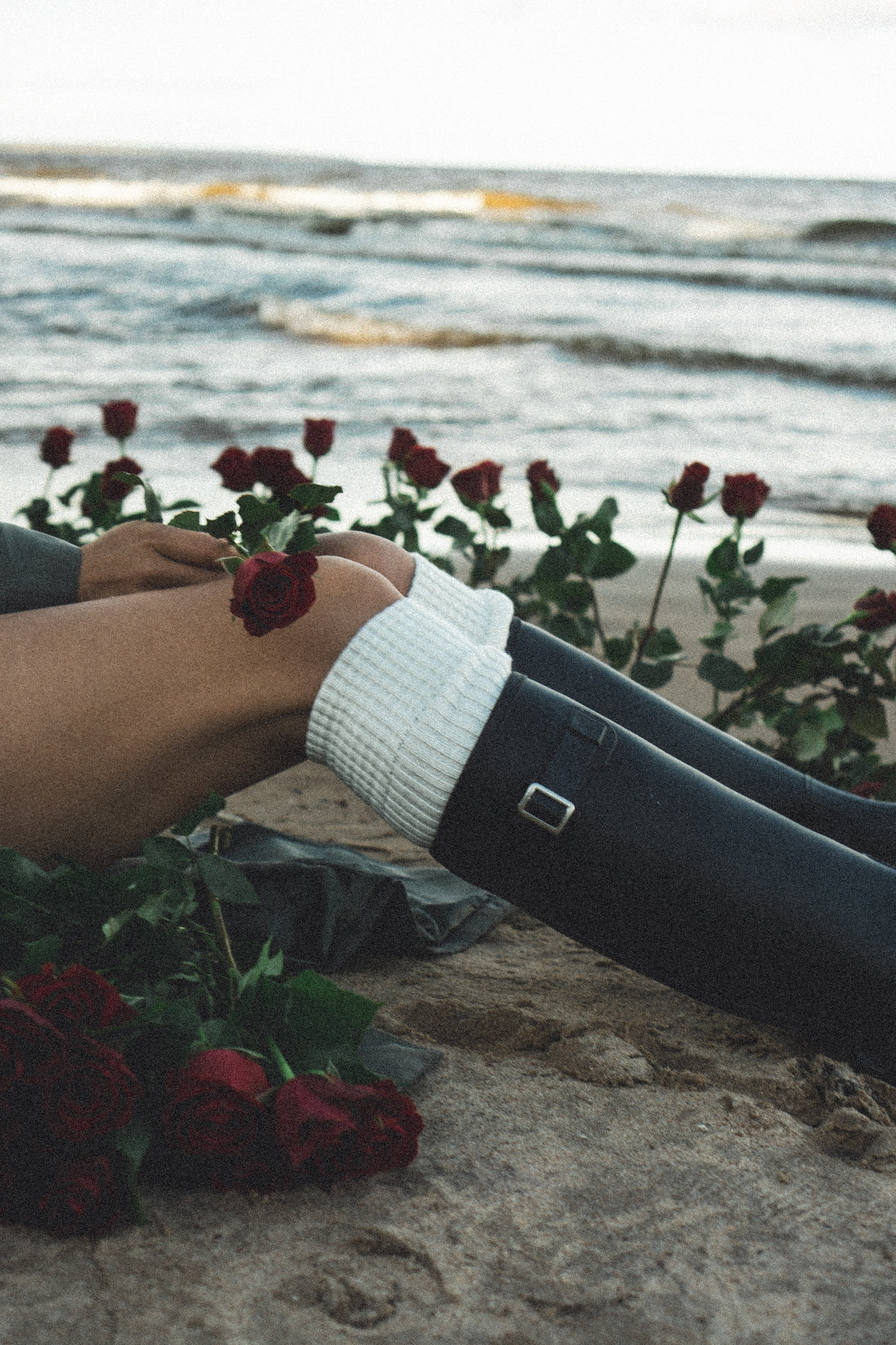 Розы. Профессиональный фотограф, Санкт-Петербург — Виктория Богомолова