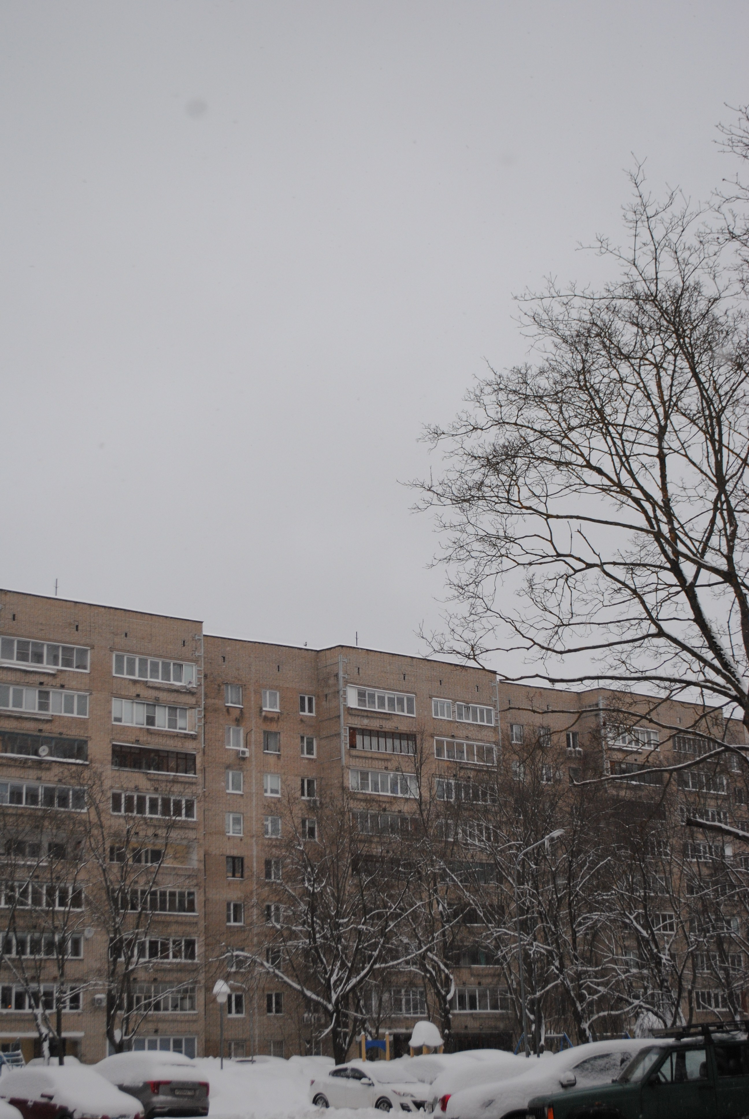 Услуги. EGOR Say