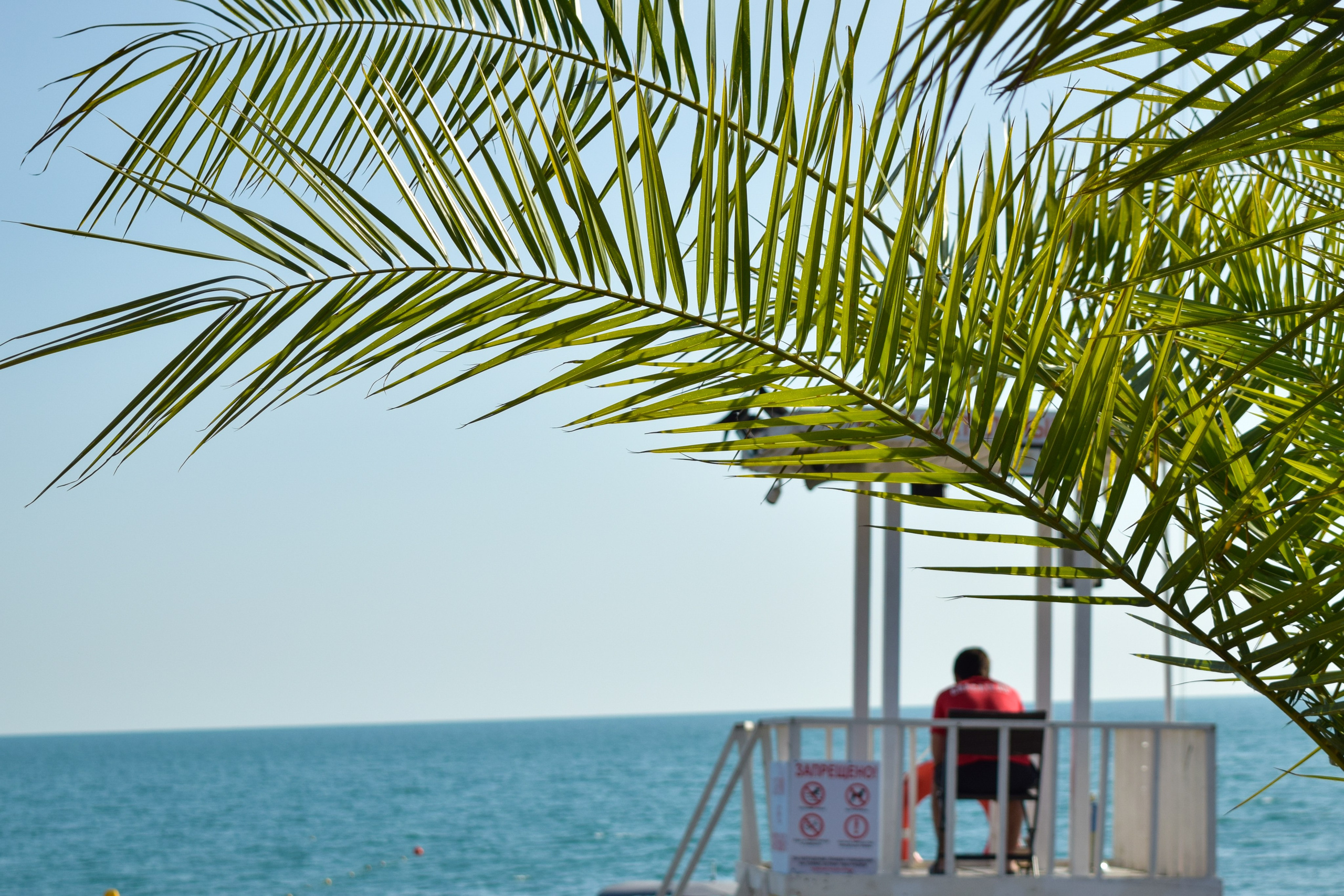 Ботаника. Фотограф • Елена Миронова