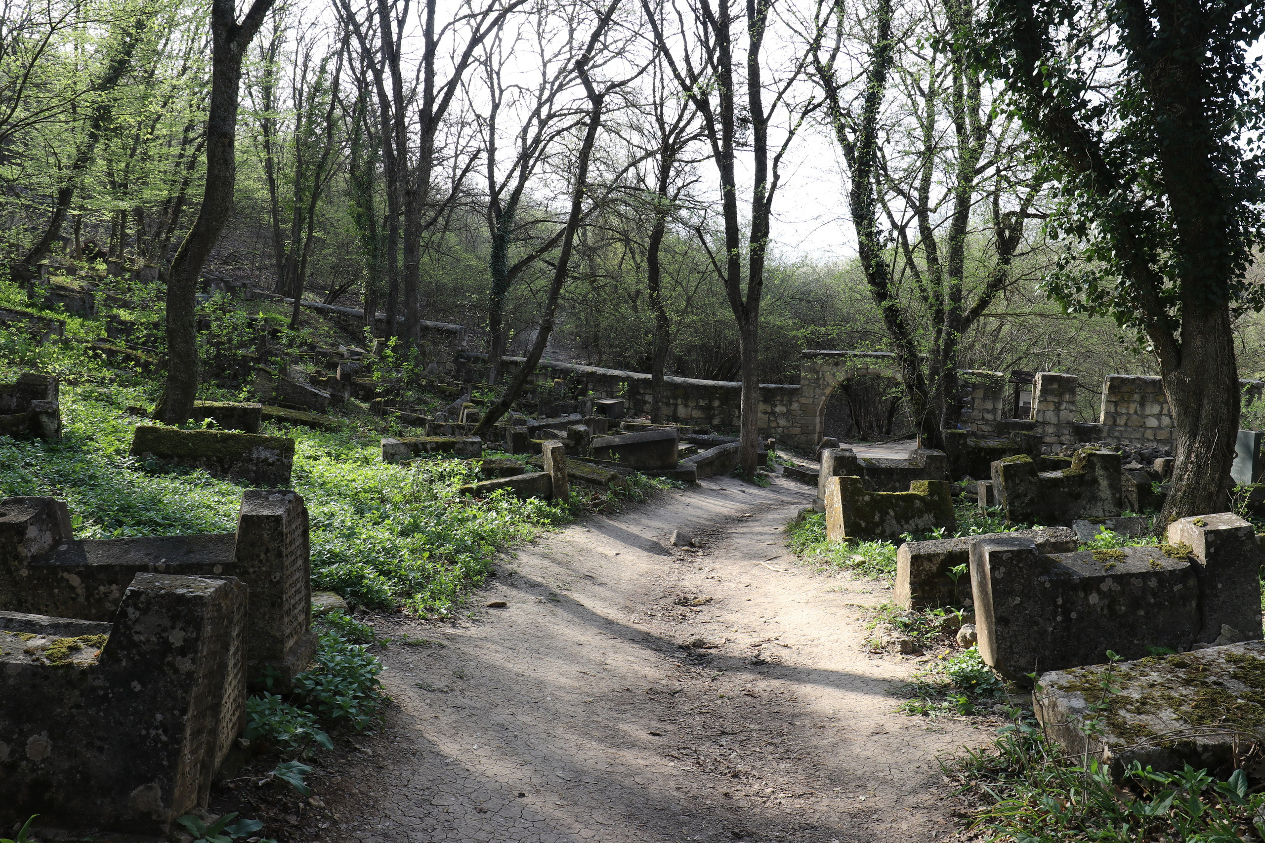 Крым. ЮБК (Бахчисарай, Кастрополь, Таракташская тропа). Май 2021. Путешественник-фотограф из Санкт-Петербурга Татьяна Свистулина