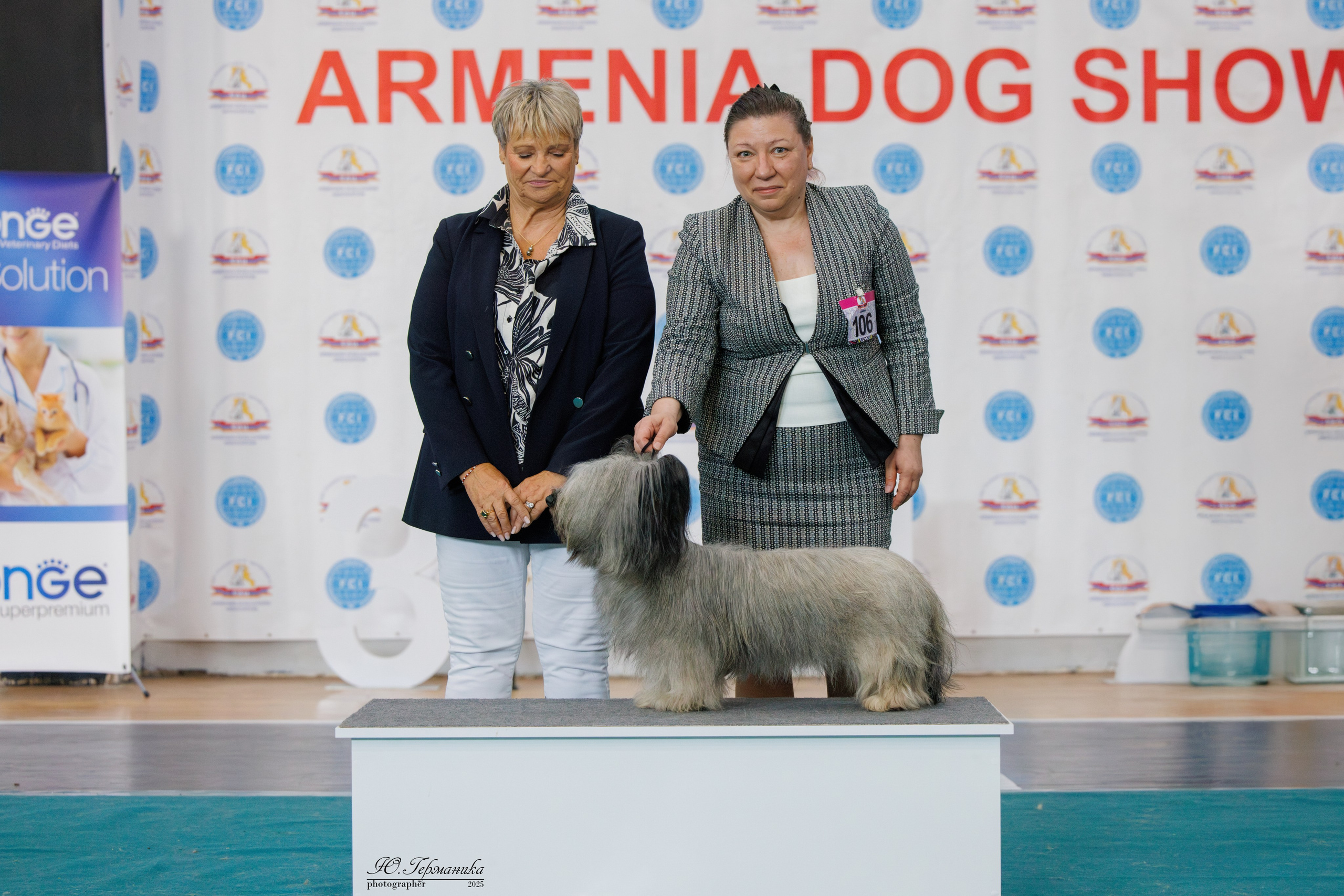 Ереван 2х CACIB 29-30.04.2025. Фотограф-анималист Юлия Германика