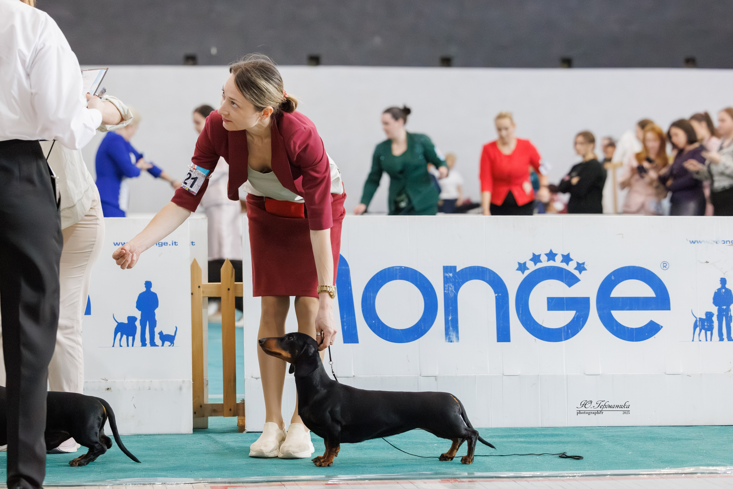 Ереван 2х CACIB 29-30.04.2025. Фотограф-анималист Юлия Германика