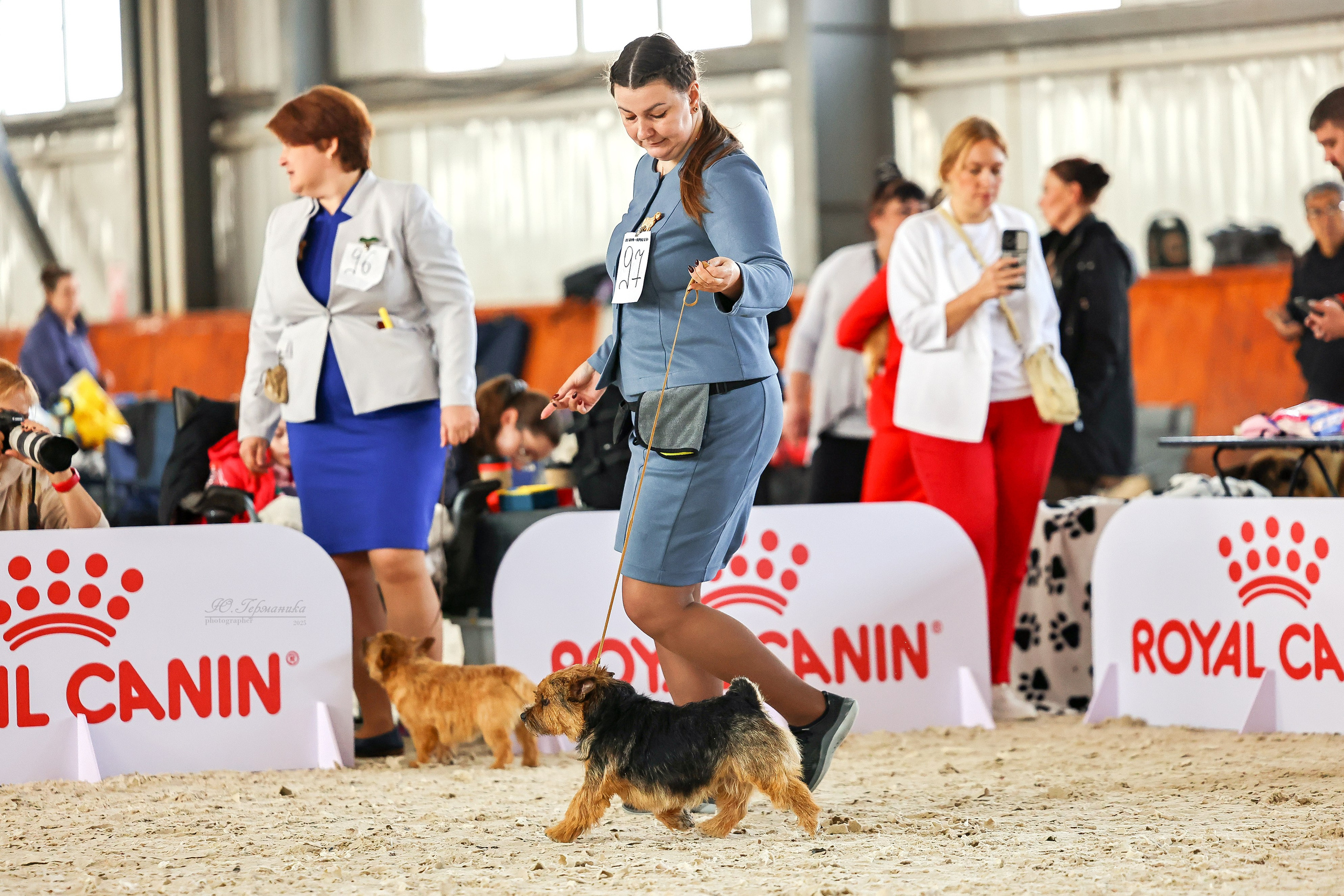 Астана 2хCACIB 26-28.09.2025. Фотограф-анималист Юлия Германика