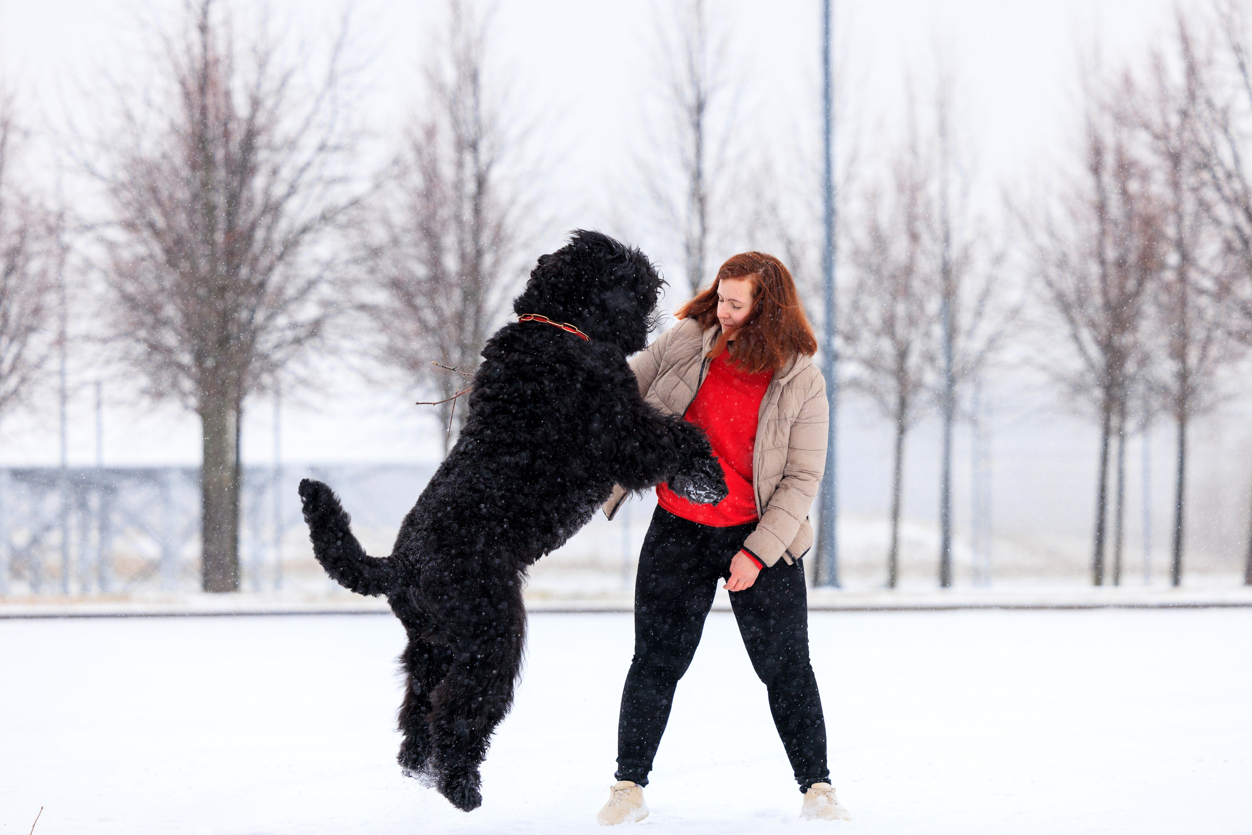 Санкт-Петербург 14.12.2024 ОС. Фотограф-анималист Юлия Германика