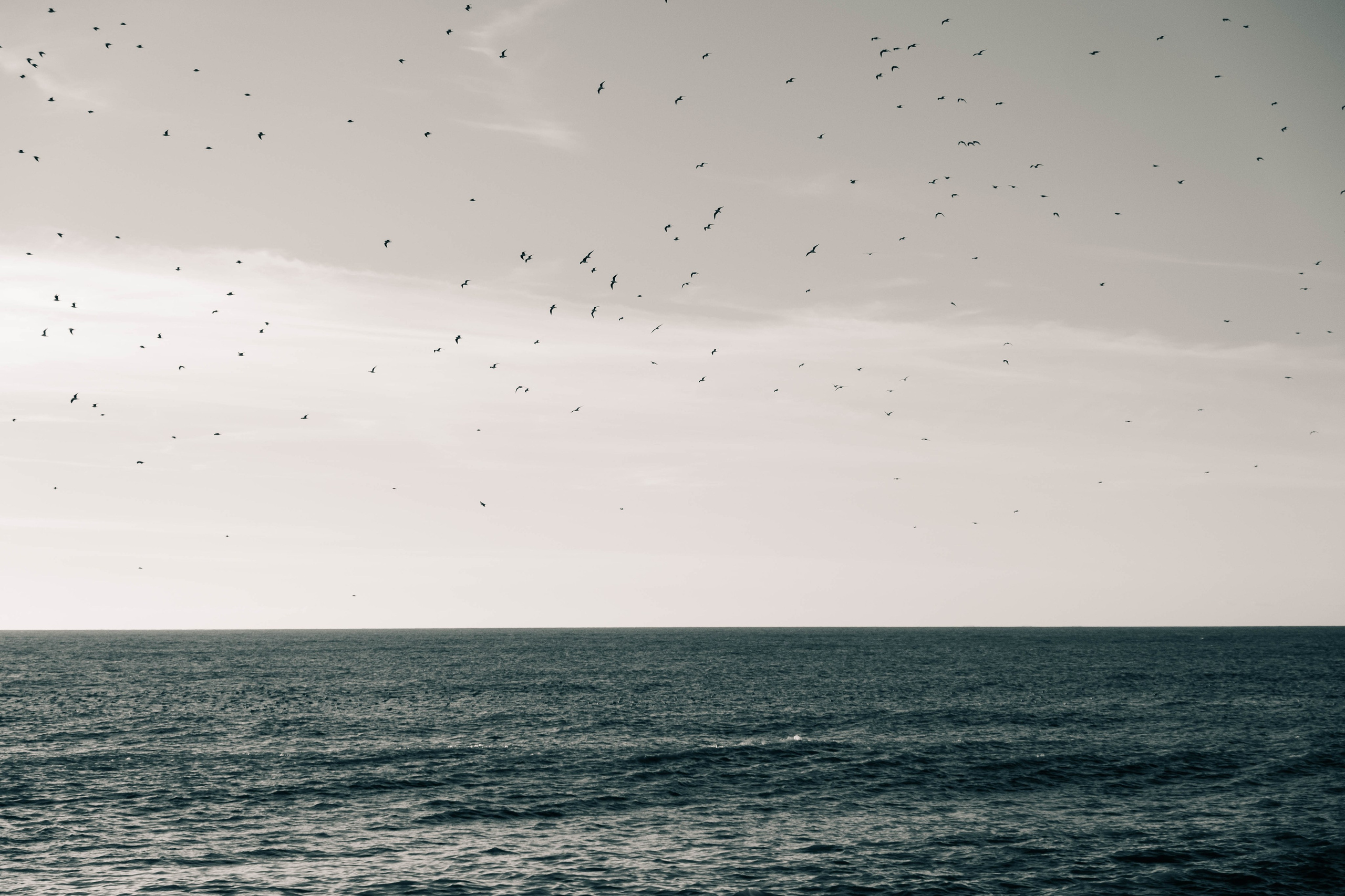 Прогулки по России. Фотограф Валерия Кононова