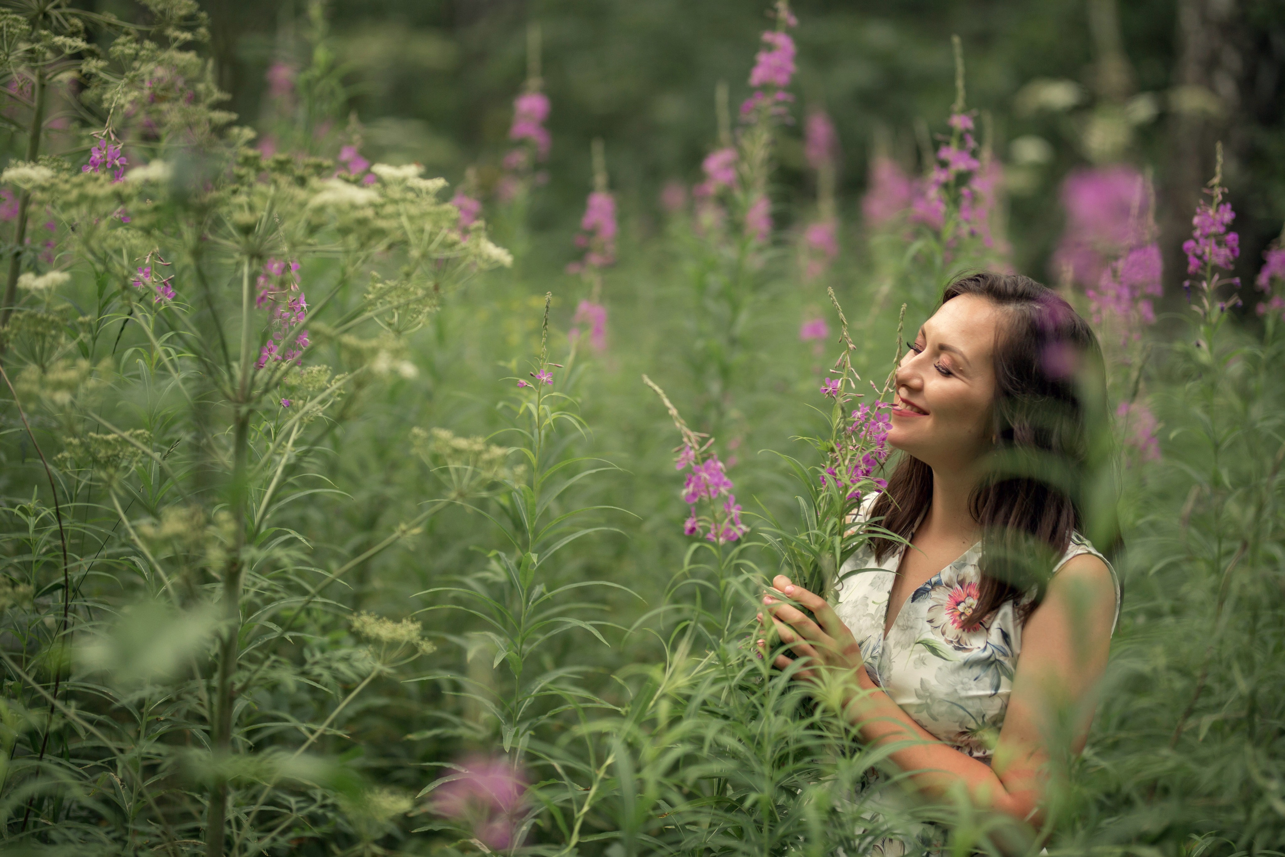 Сосны. Сайт
