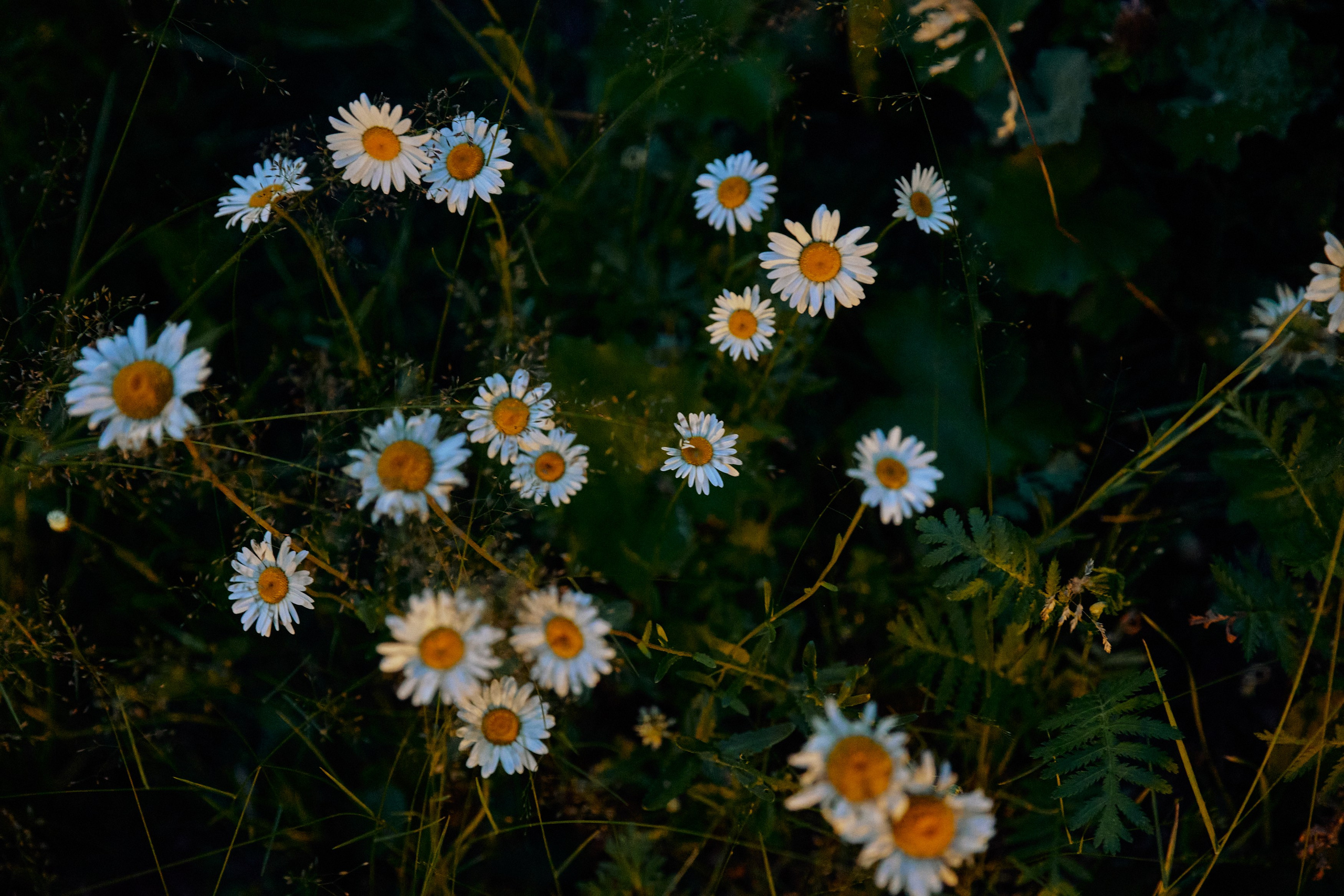Konstantin & Elizabeth. Event агентство PAPRIKA в Екатеринбурге