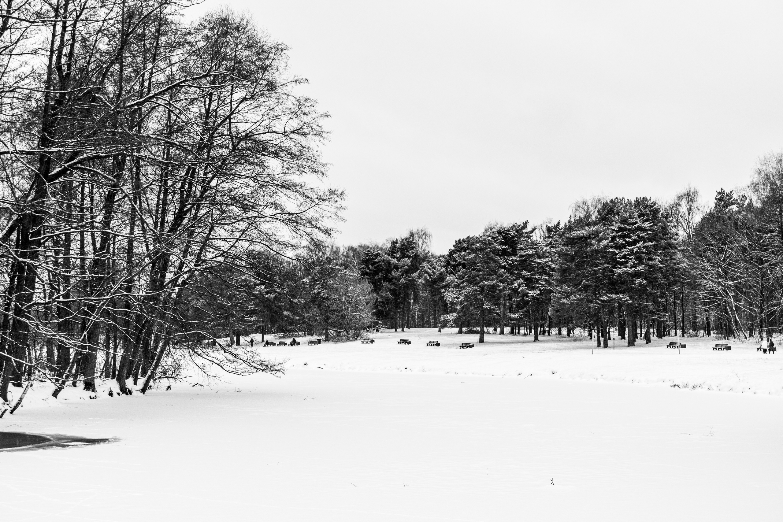 Декабрь. Портретный и архитектурный фотограф в Москве и Санкт-Петербурге