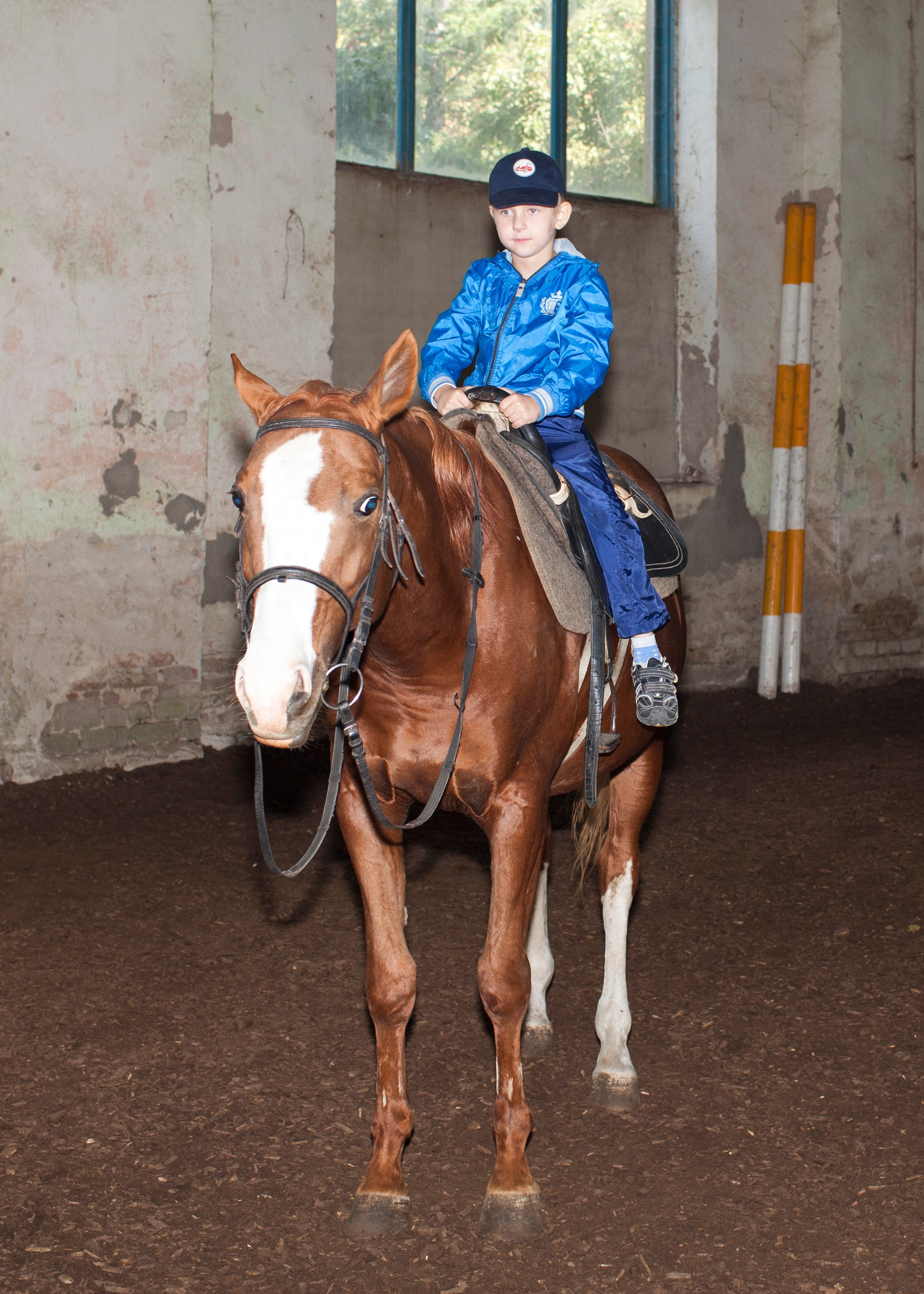 Фотосессия детей с животными. Медиапродюсер, фотограф в Минеральных Водах —Виктор Холодов