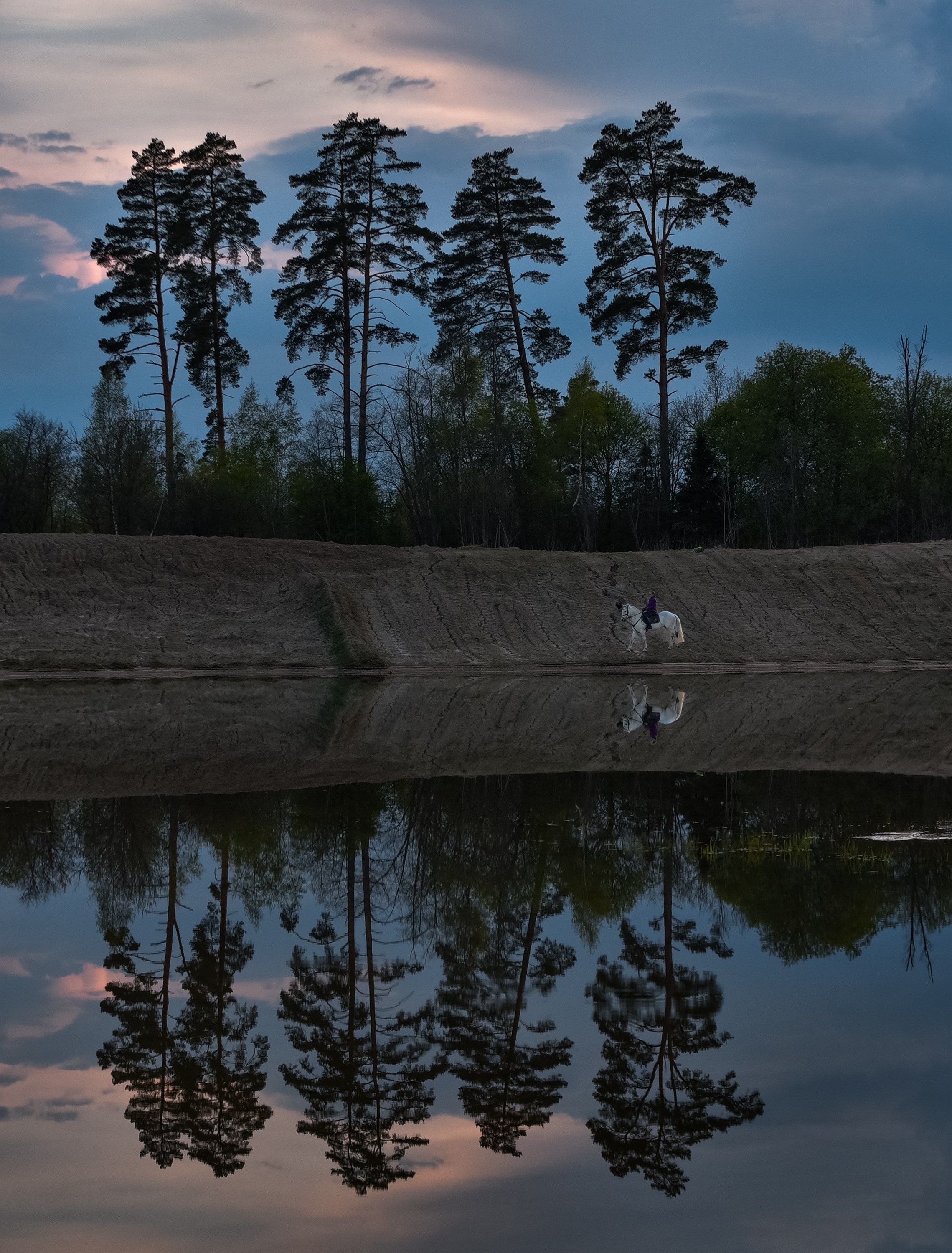 Природа. Съемки в стиле Goblicore и прочая нечисть. Конный фотограф из Москвы Ирина Бондаркова