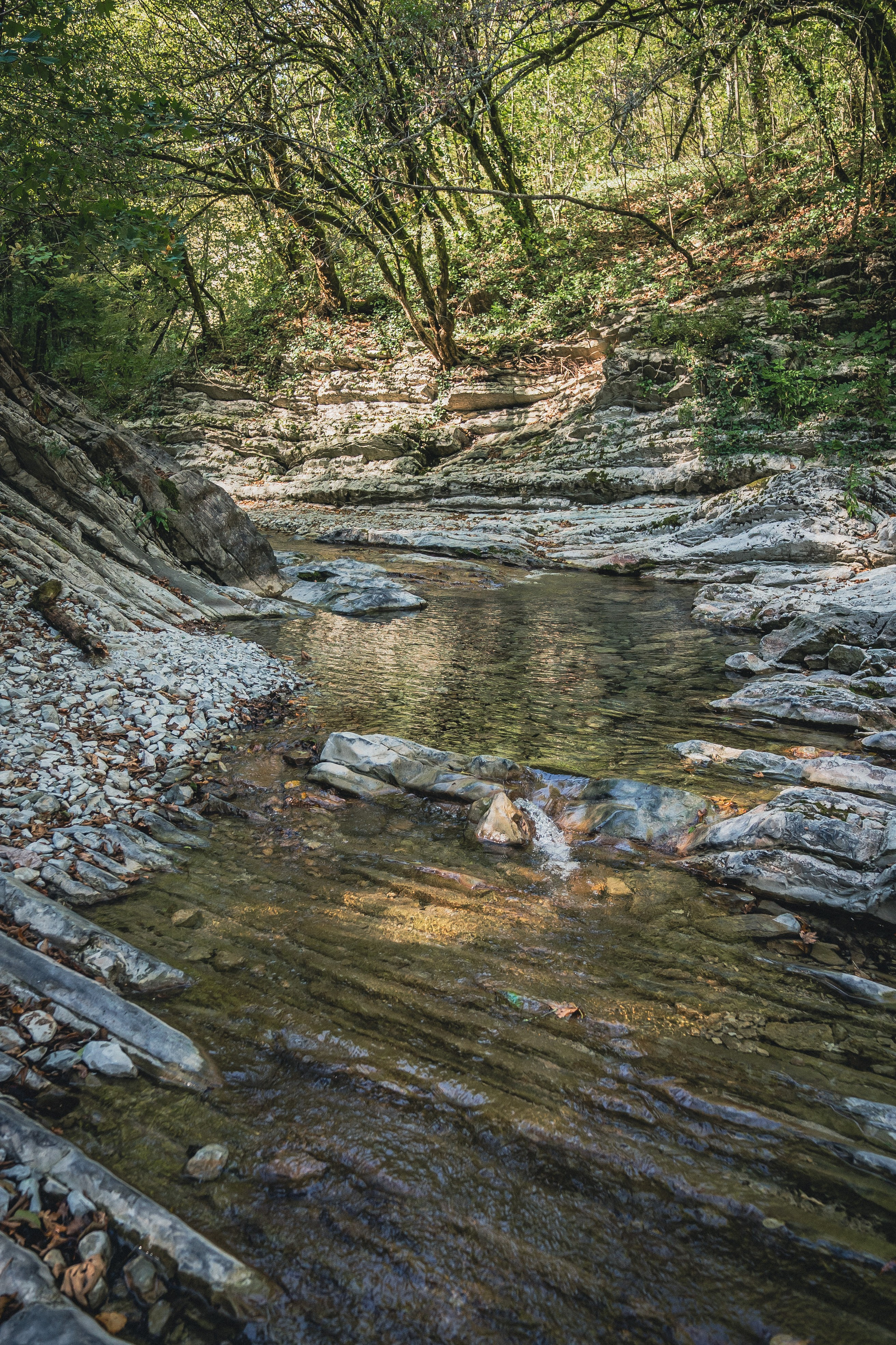 Поход на Полковничьи водопады АСК 26.09.23. Репортажный фотограф в Краснодаре Рындин Дмитрий