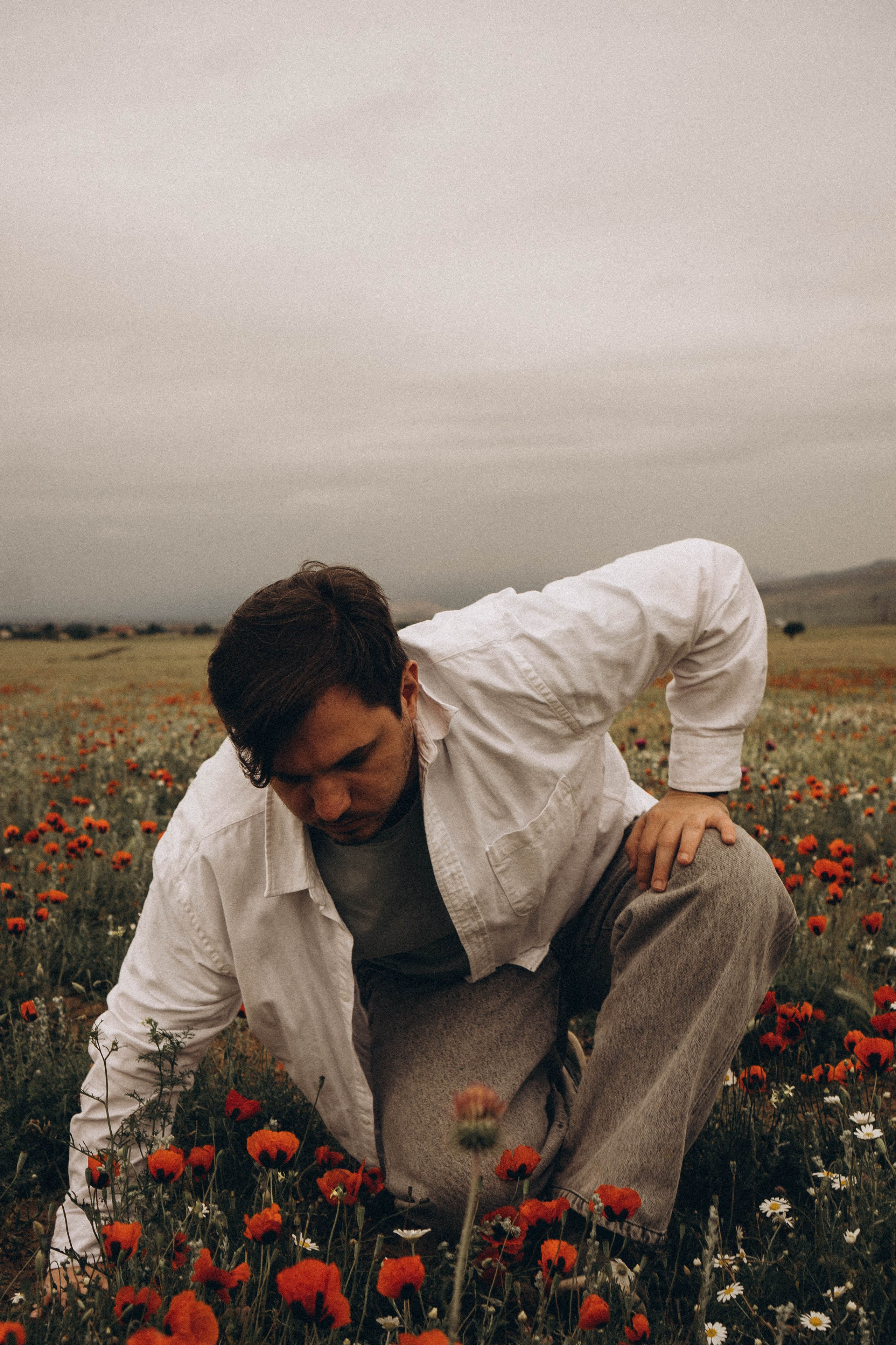 Маки. Профессиональный фотограф, Санкт-Петербург — Виктория Богомолова