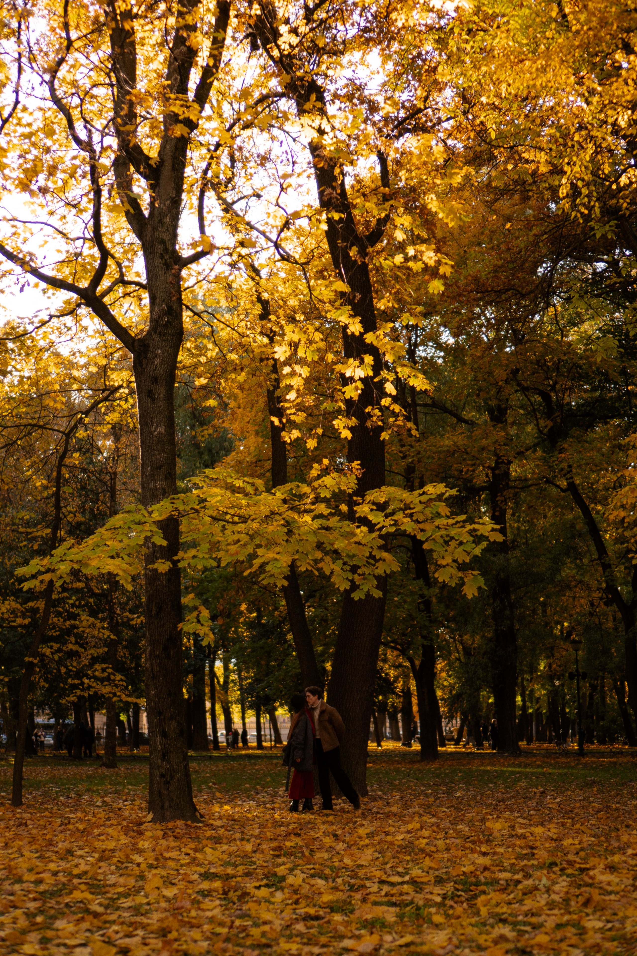 ОСЕННЯЯ ПРОГУЛКА. Профессиональный фотограф, Санкт-Петербург — Виктория Богомолова