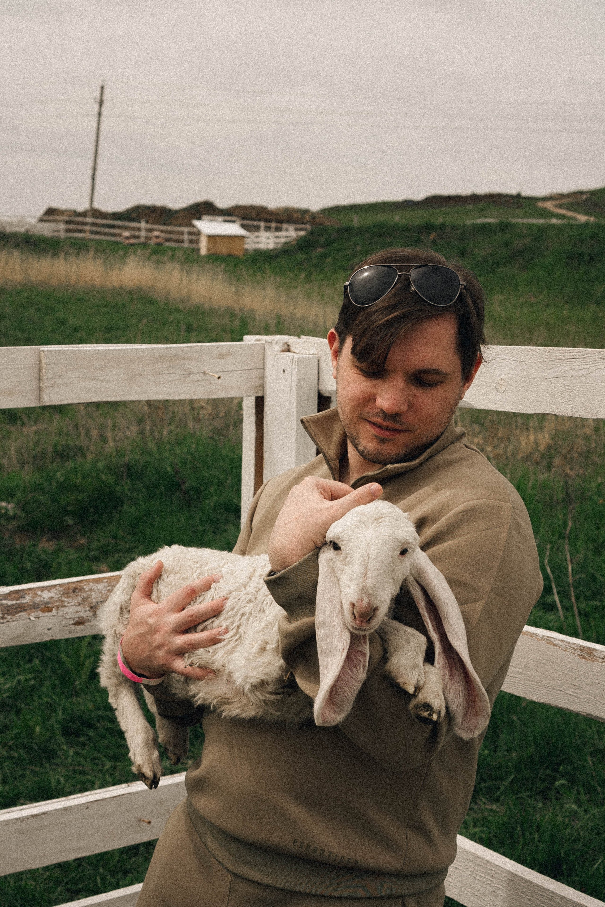 Ферма Альпак. Профессиональный фотограф, Санкт-Петербург — Виктория Богомолова