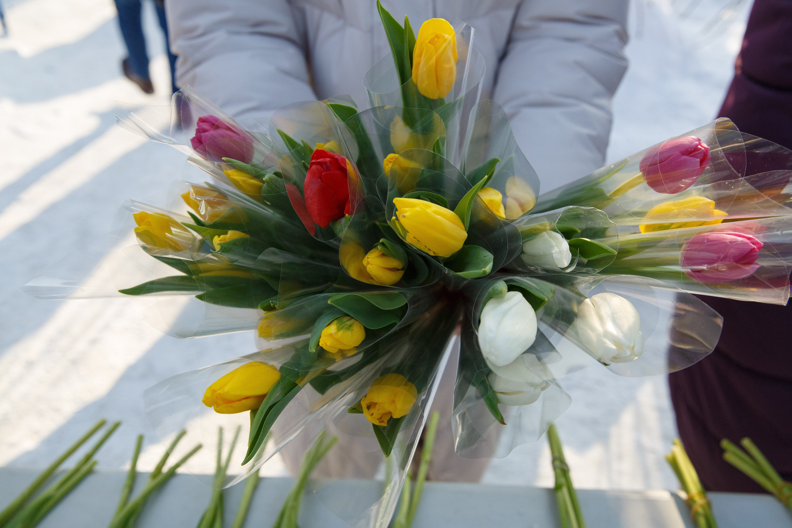 07.03.2025 г. Кубок Главы г. Тюмени по лыжным гонкам. Мой фотомир