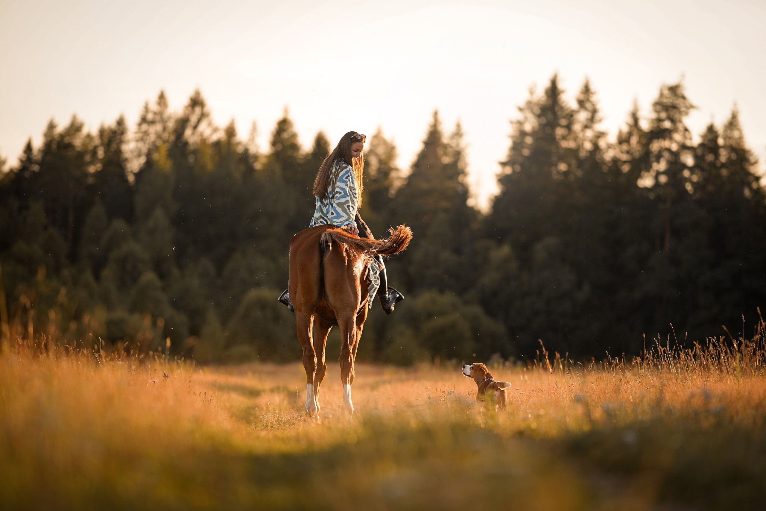 Лера Джон и Диамант. Фотограф-анималист в Санкт-Петербурге Яна Мартынова