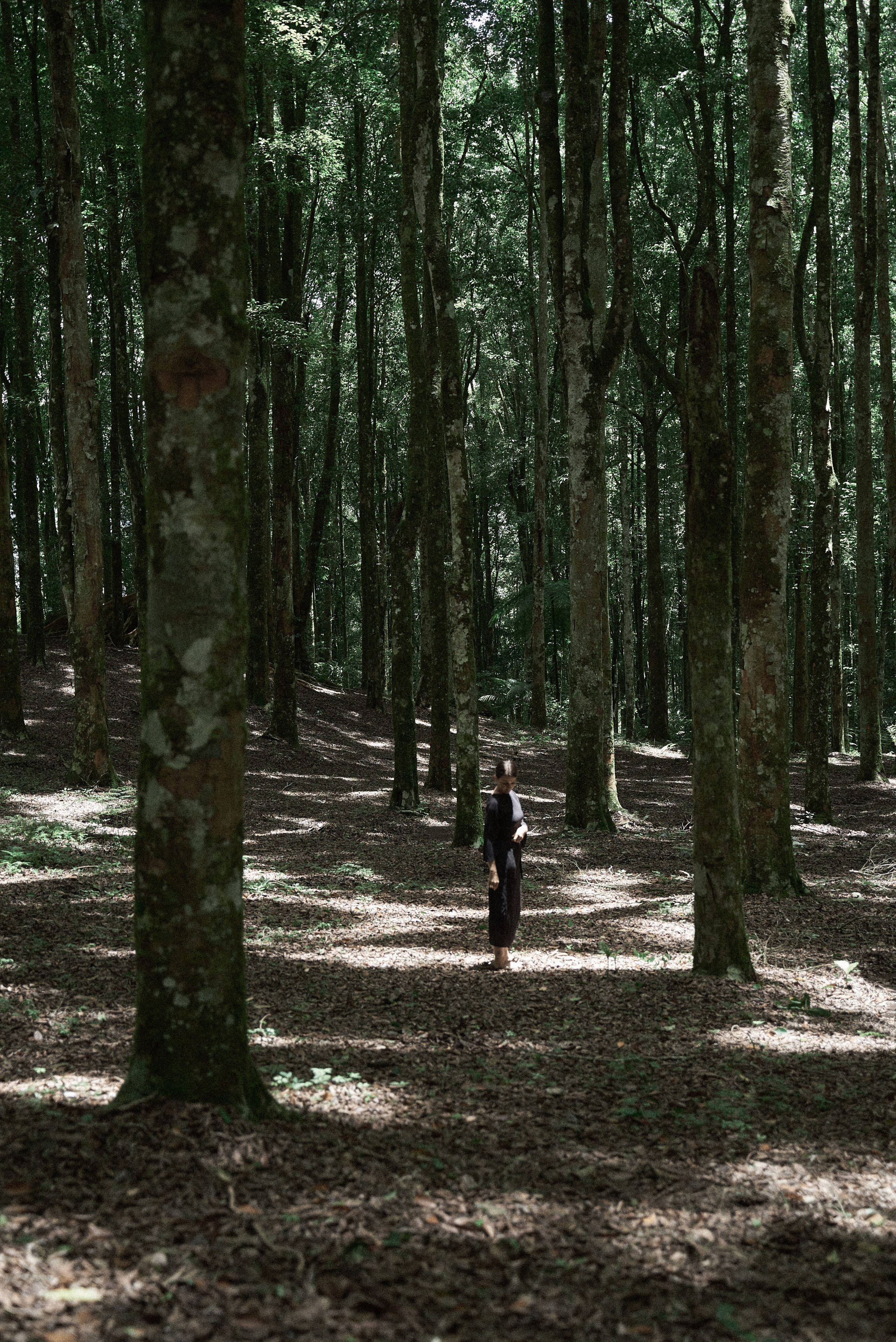 Julie nord garden. Главная