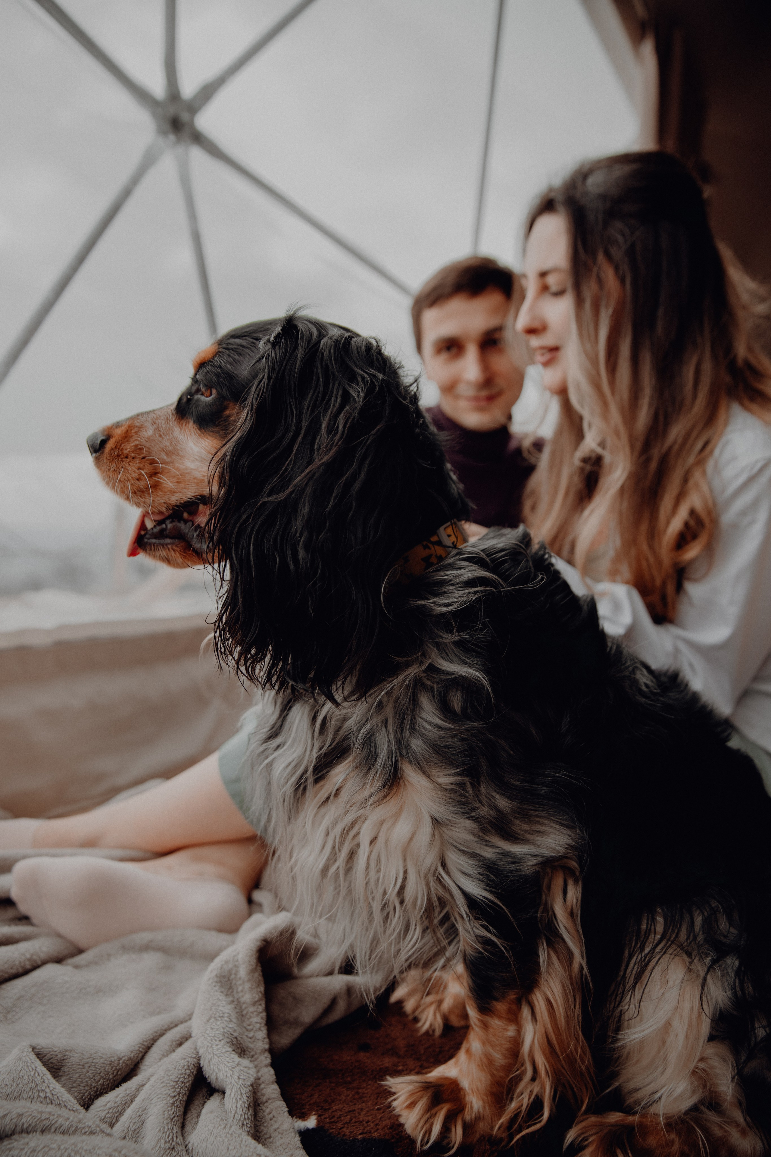 Ася ღ Заур. Портфолио