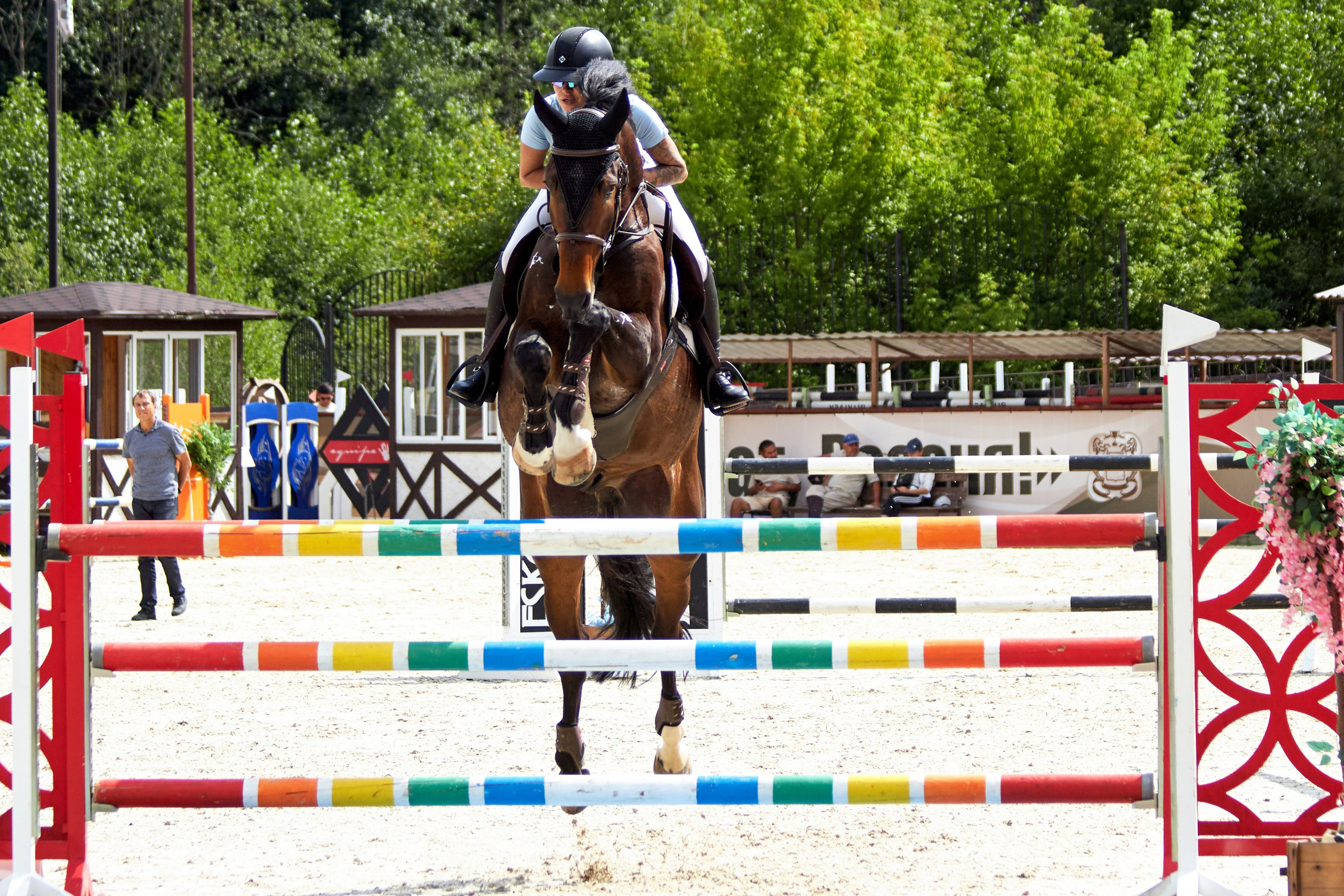 Конкур в «Виват, Россия». Фотограф анималист — Тула, Москва