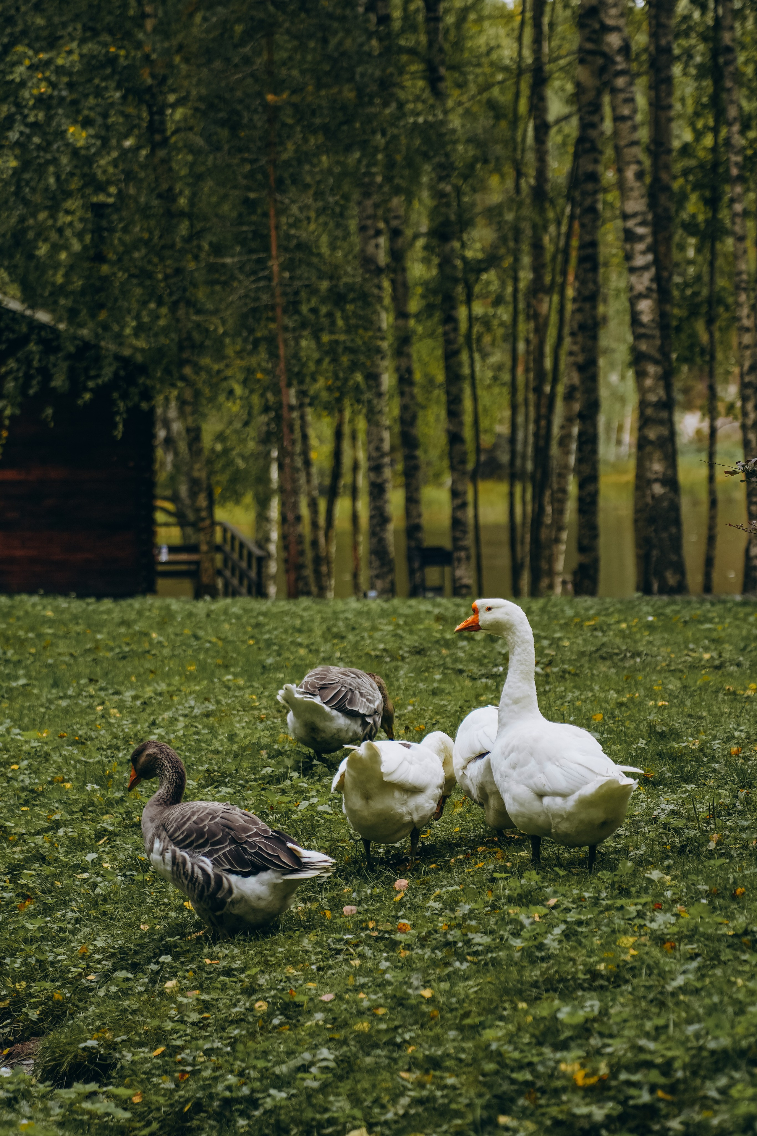 СЕВЕР. Event фотограф Степанова Александра