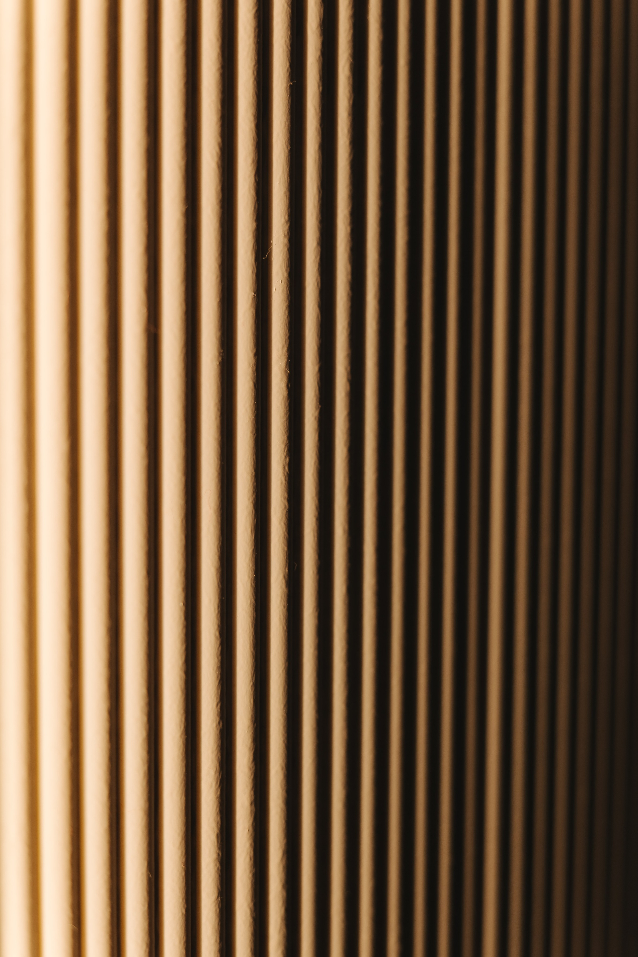 Конференция NeoClimat в Золотом Сечении. Фотограф в Красноярске Надежда Воскресенская