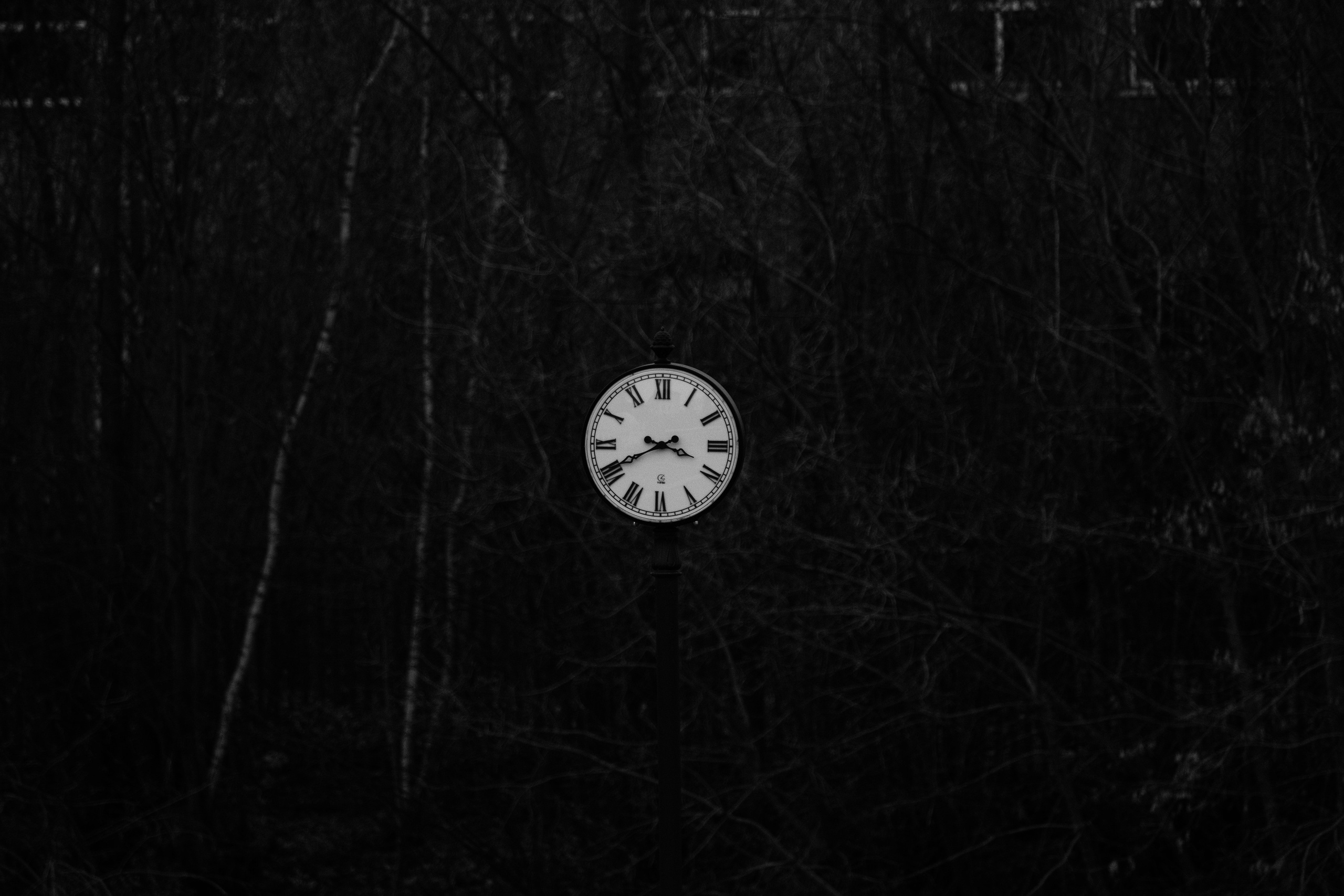 Одиночные. Фотограф Евгений Андреев