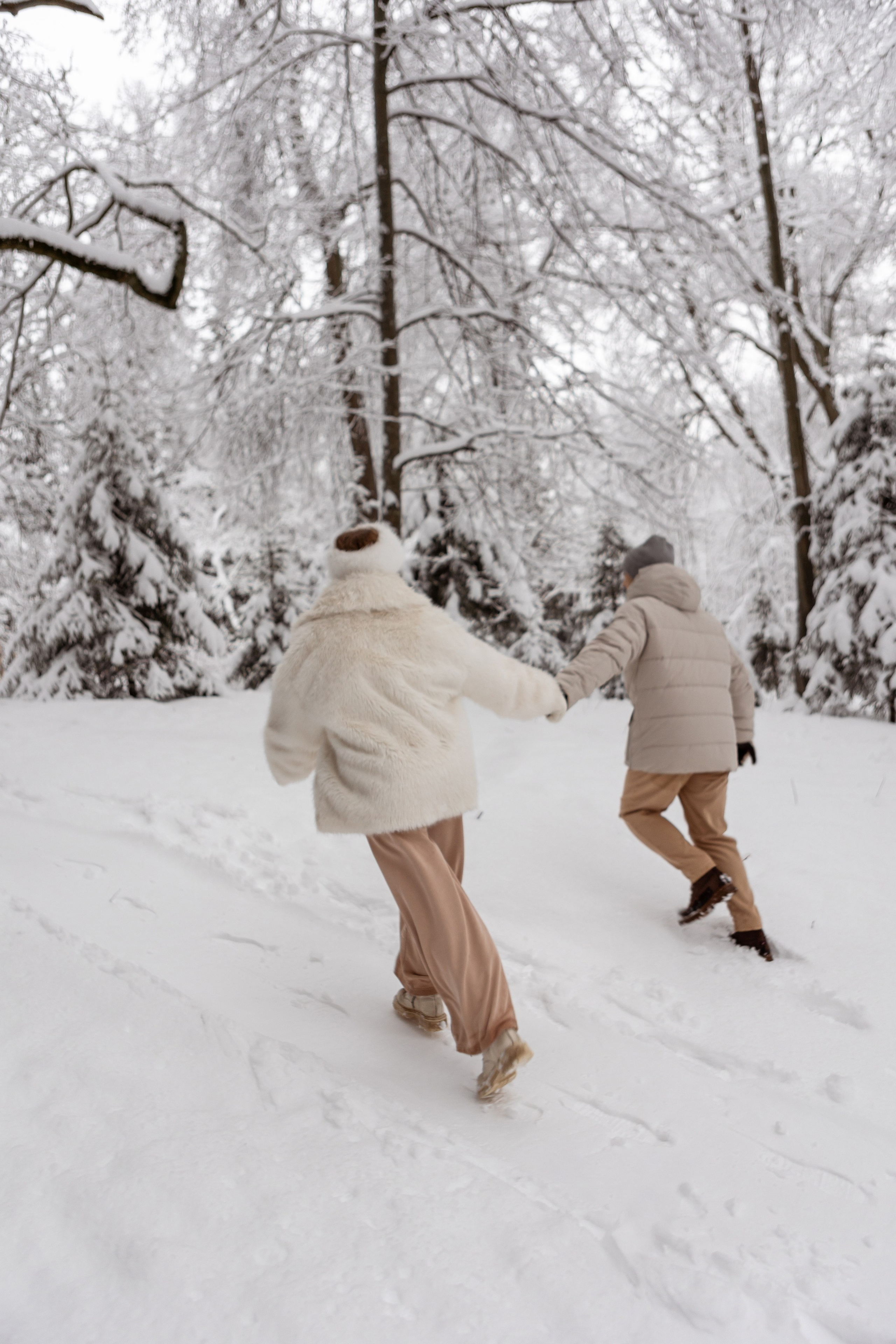 Новогодняя фотосессия с собачками в шуваловском парке. Свадебный фотограф в СПБ | Санкт-Петербурге Анастасия Рахимгулова