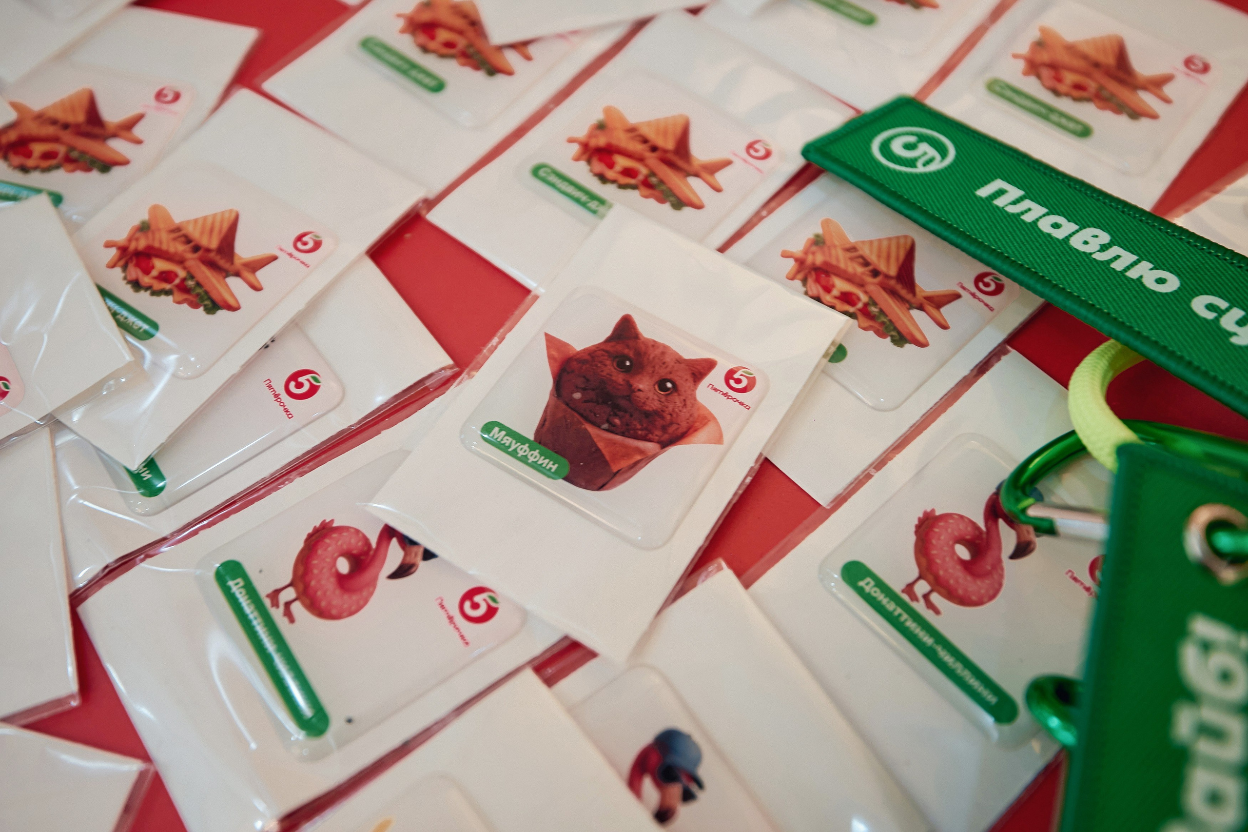 Фестиваль от супермаркета «Пятёрочка». Фотограф Яковлев Роман — Красноярск