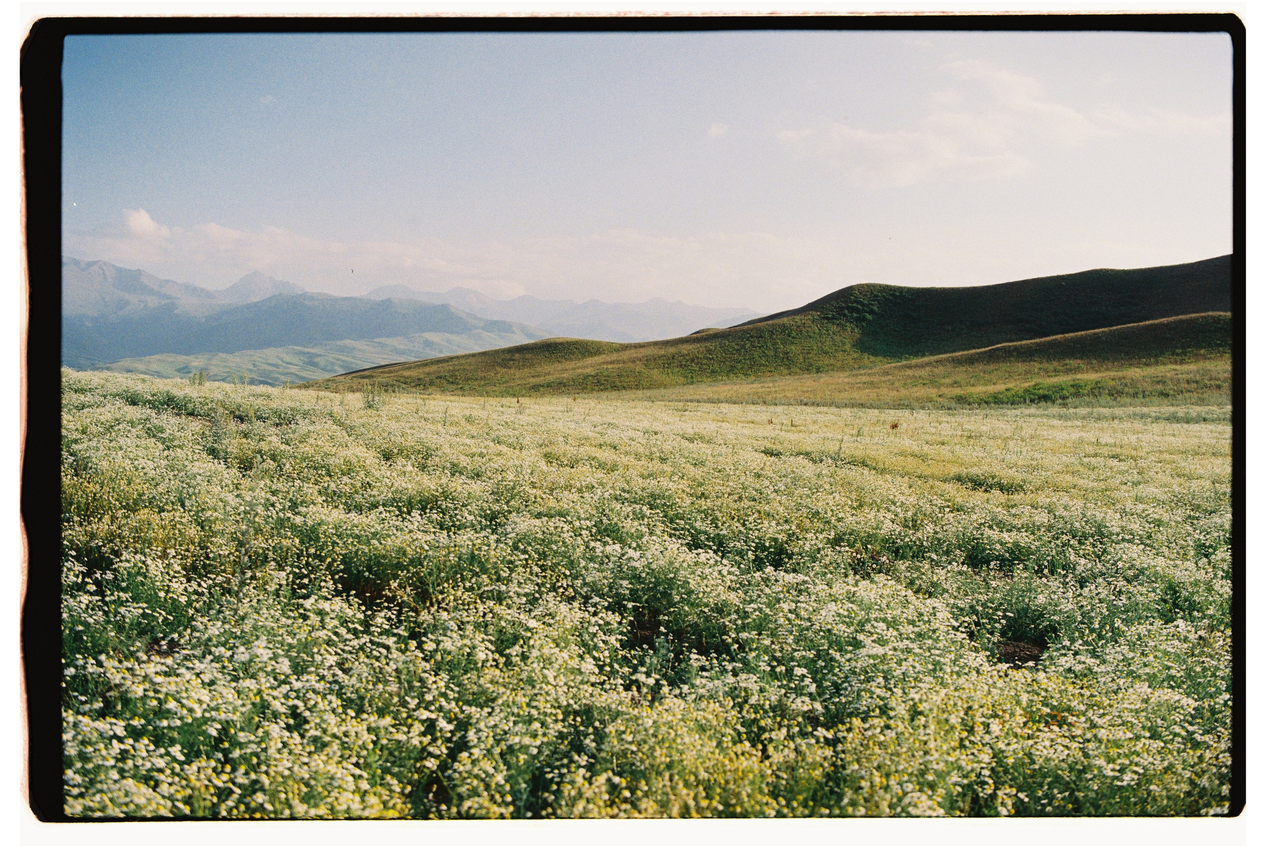 2025 — Путешествия на плёнку. Фотограф в Алматы — Алексей Коньков | Репортаж, свадьбы, портреты