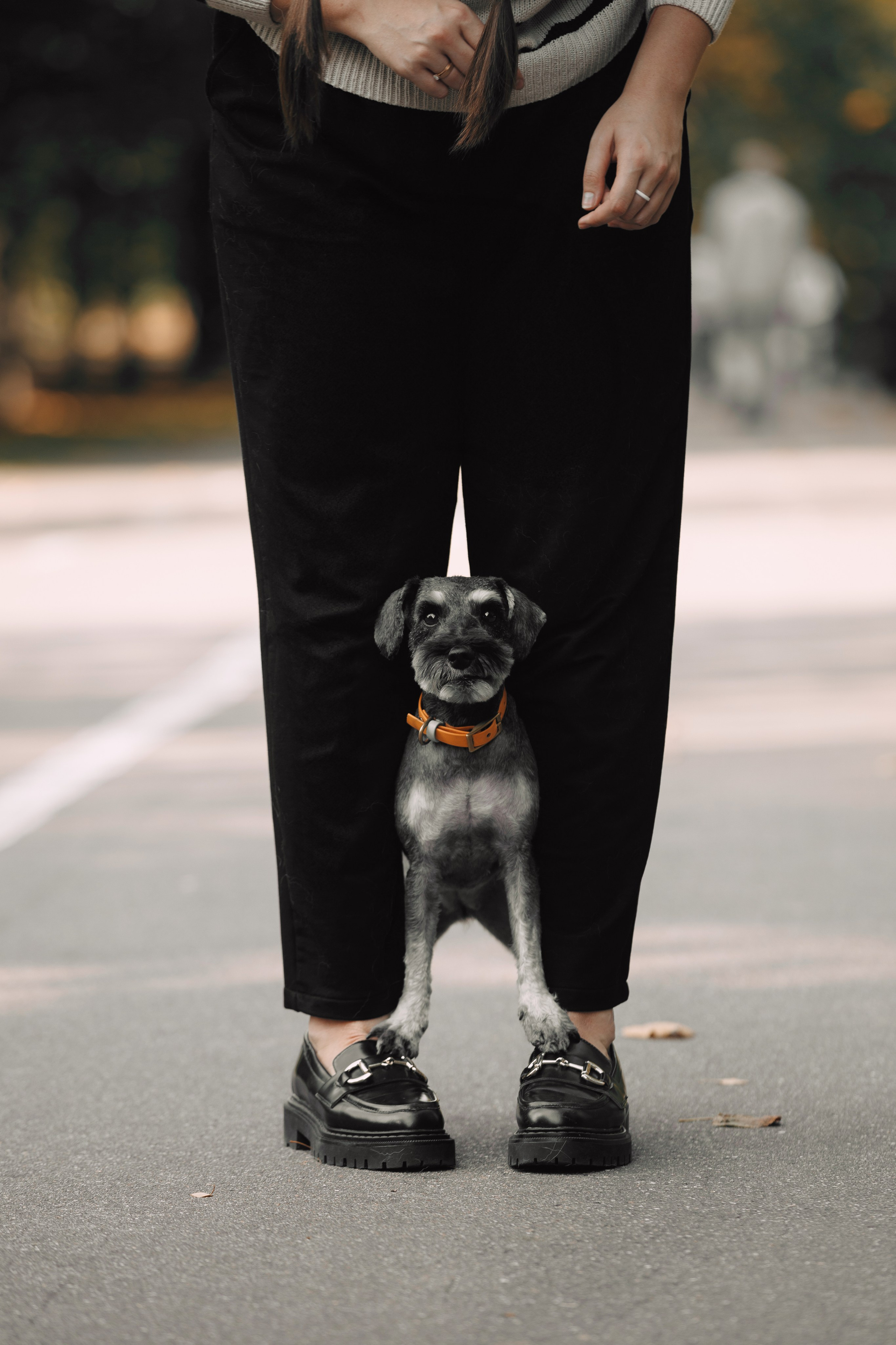 Оля и компания. Фотограф анималист Кристина Карпова, Москва