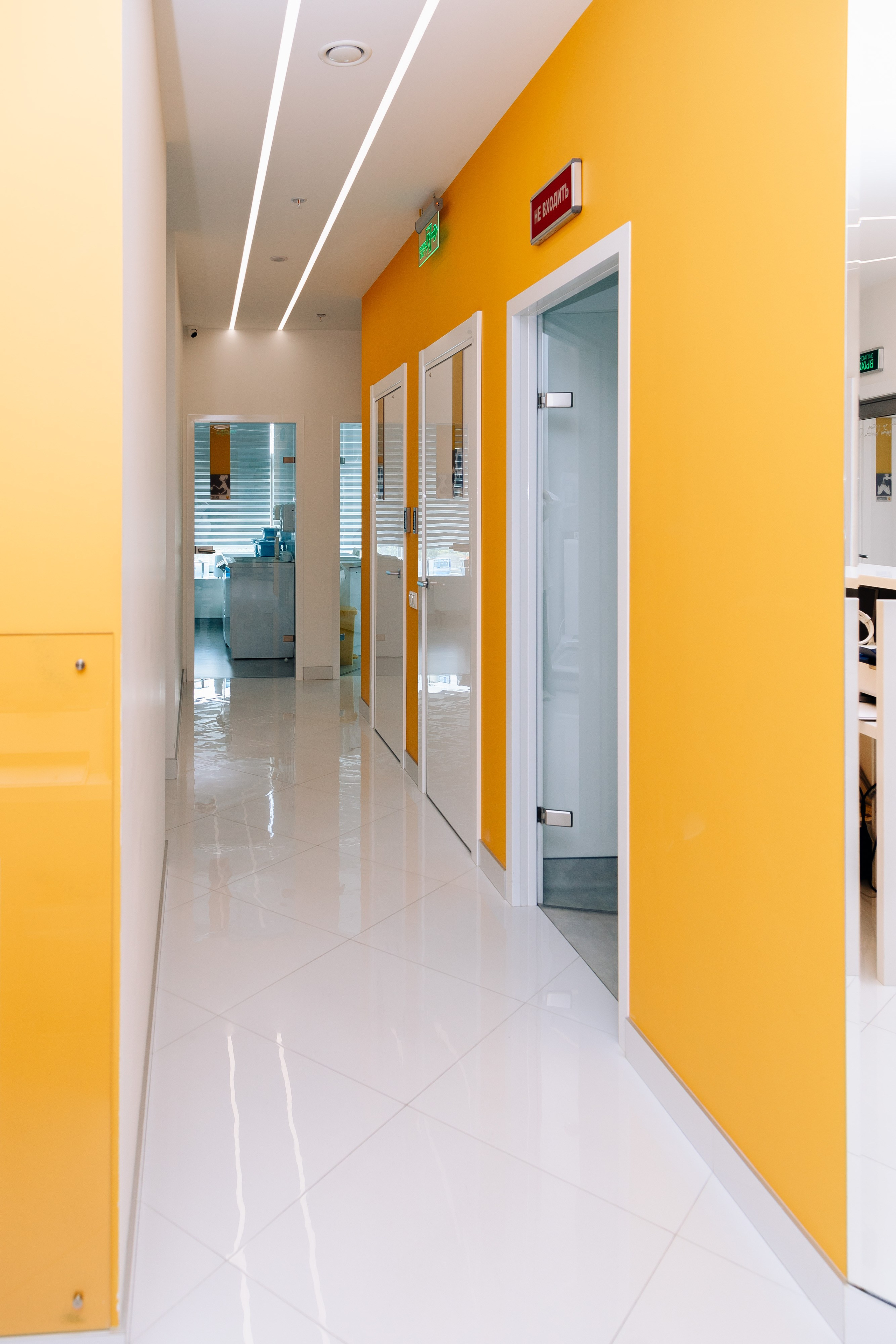 Стоматология