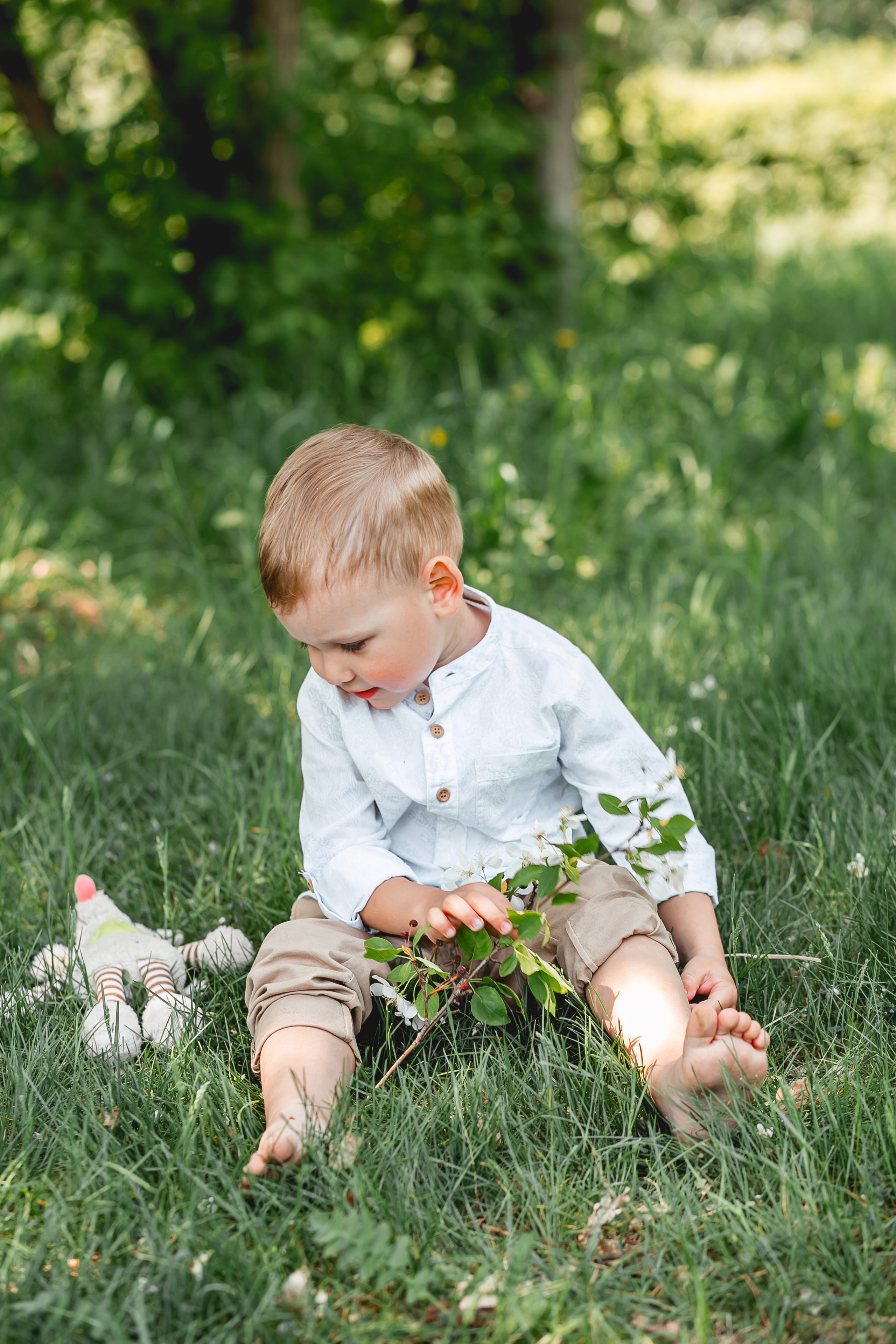 Сквер «Семейный»). Фотограф в  г. Новосибирск