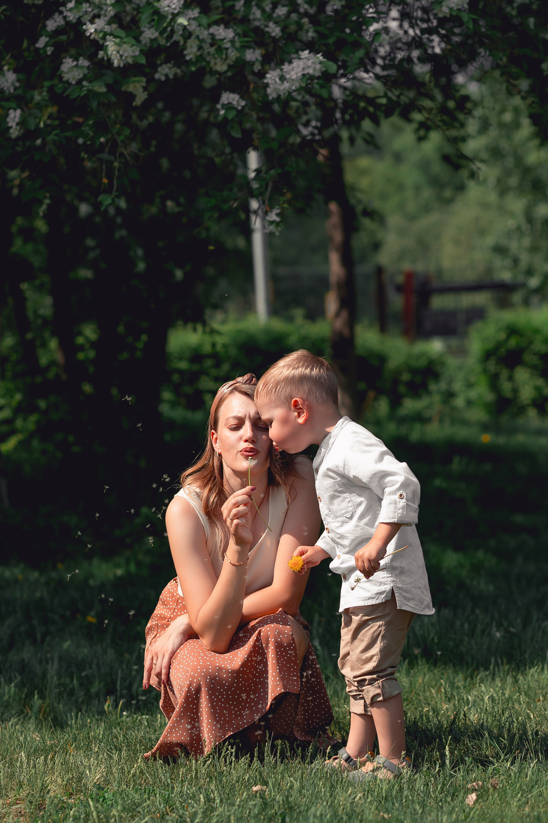 Сквер «Семейный»). Фотограф в  г. Новосибирск